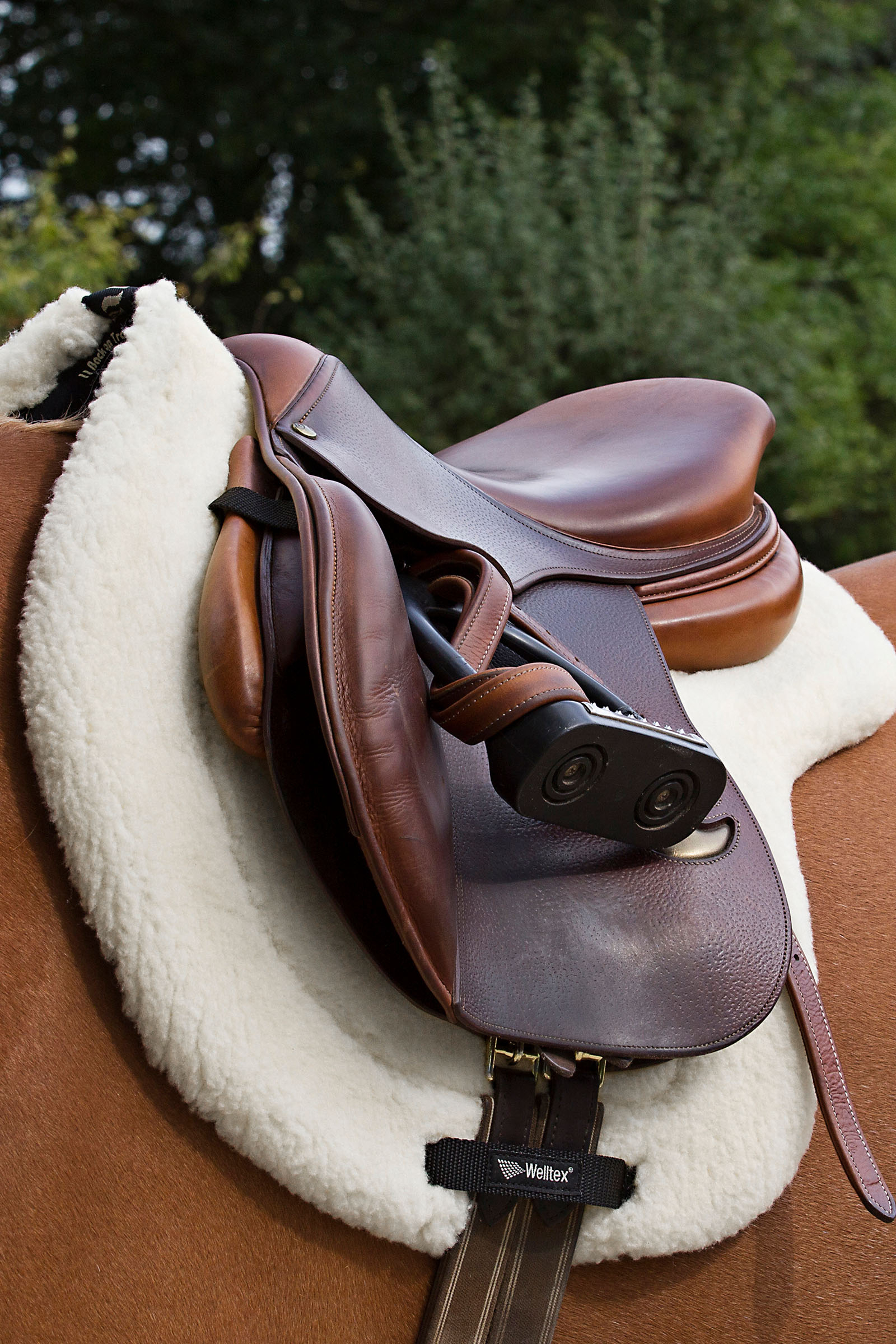 Back On Track "Teddy" Saddle Pad