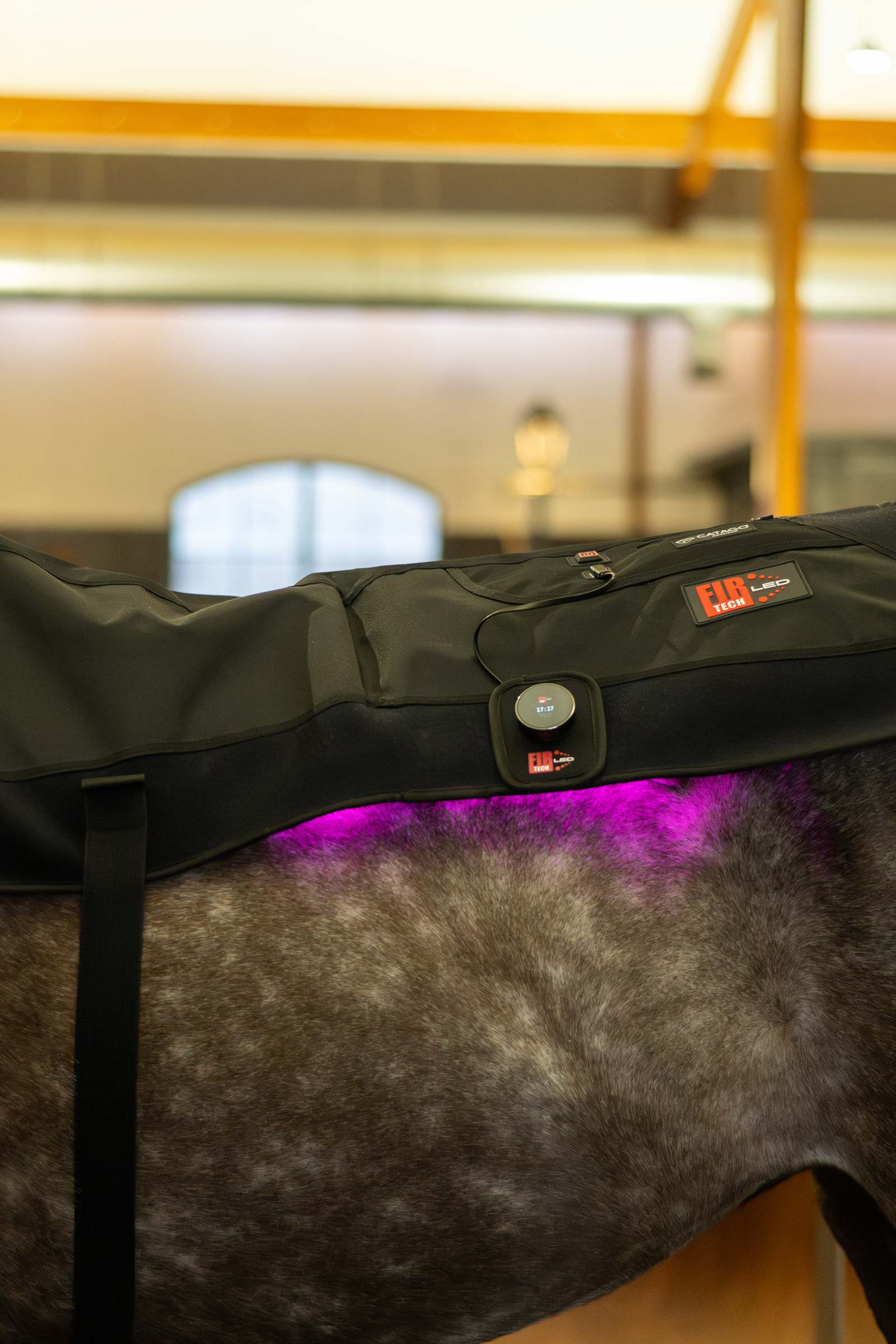 CATAGO FIR-Tech LED pad