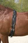 Kieffer Lunging Girth