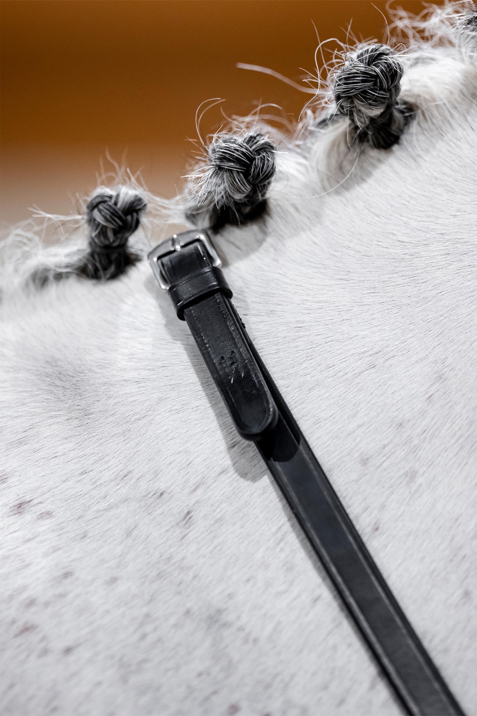 Horseware Curb Reins