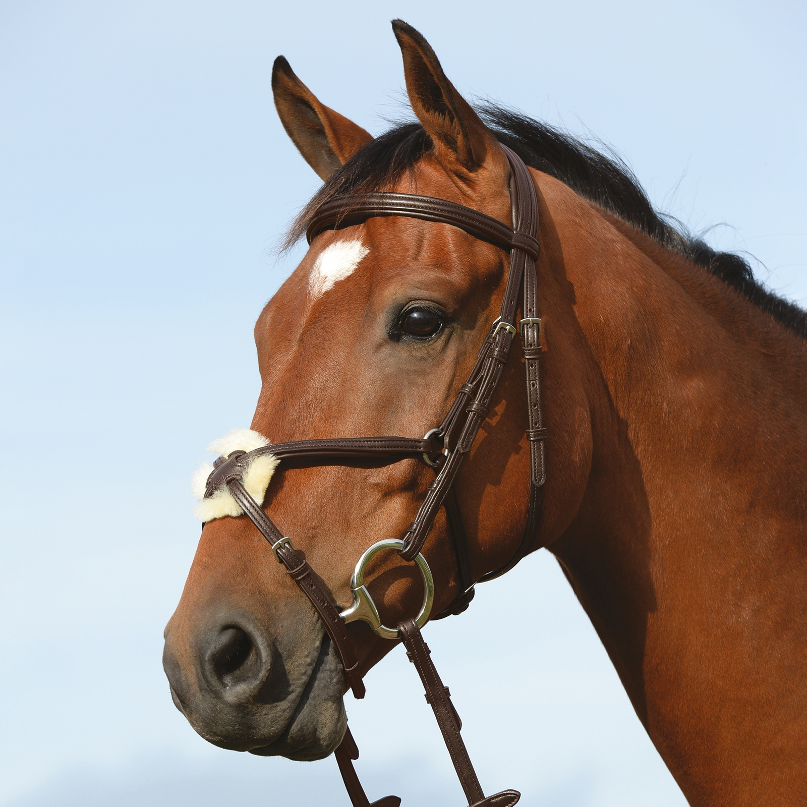 Brown Collegiate Syntovia+ Padded Raised Figure 8 Bridle