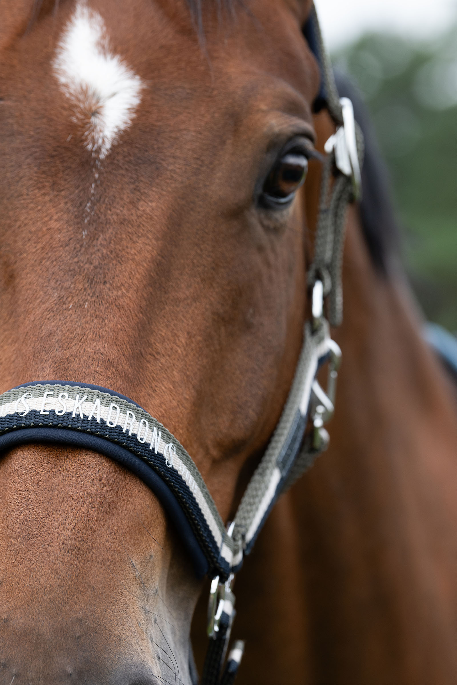 Eskadron Classic Sports SS25 Double Pin Headcollar