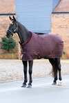 LeMieux Kudos Luxe Lined Stable Rug, 100 g