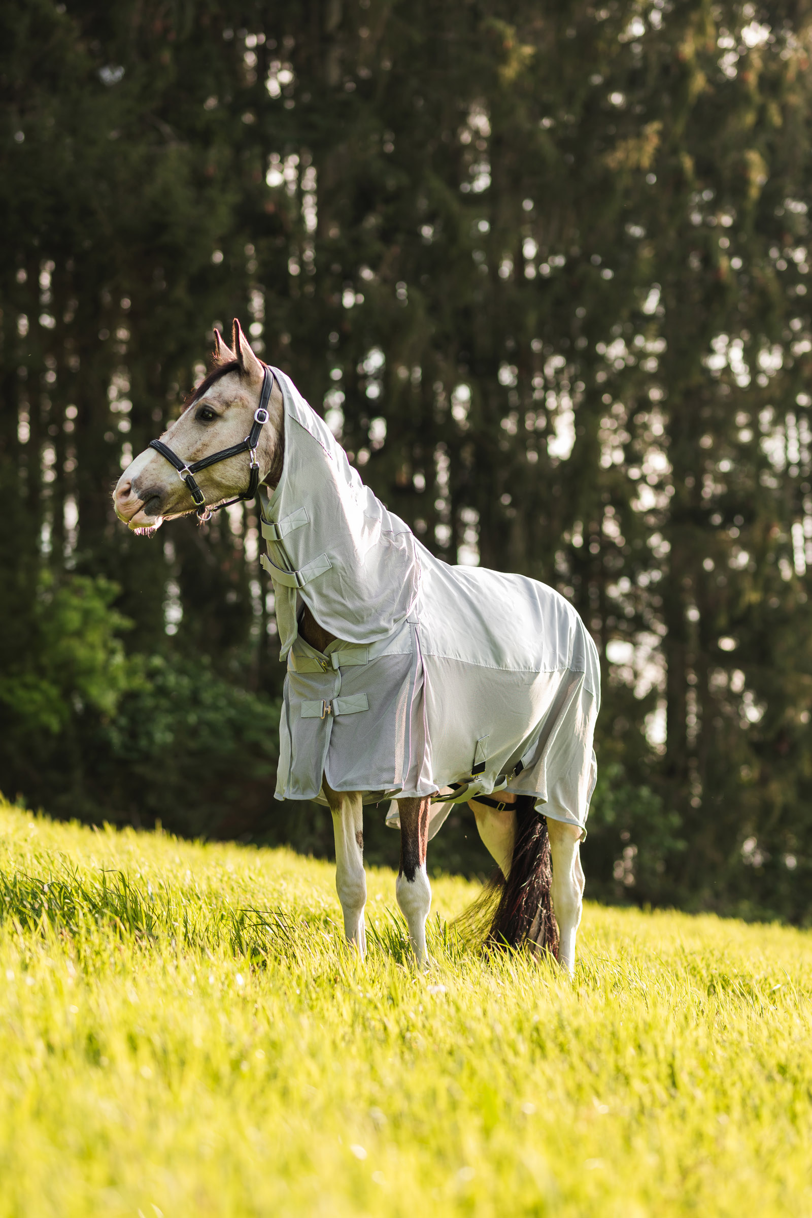 Horze Nevada Combo Shower/Fly Rug with Detachable Neck