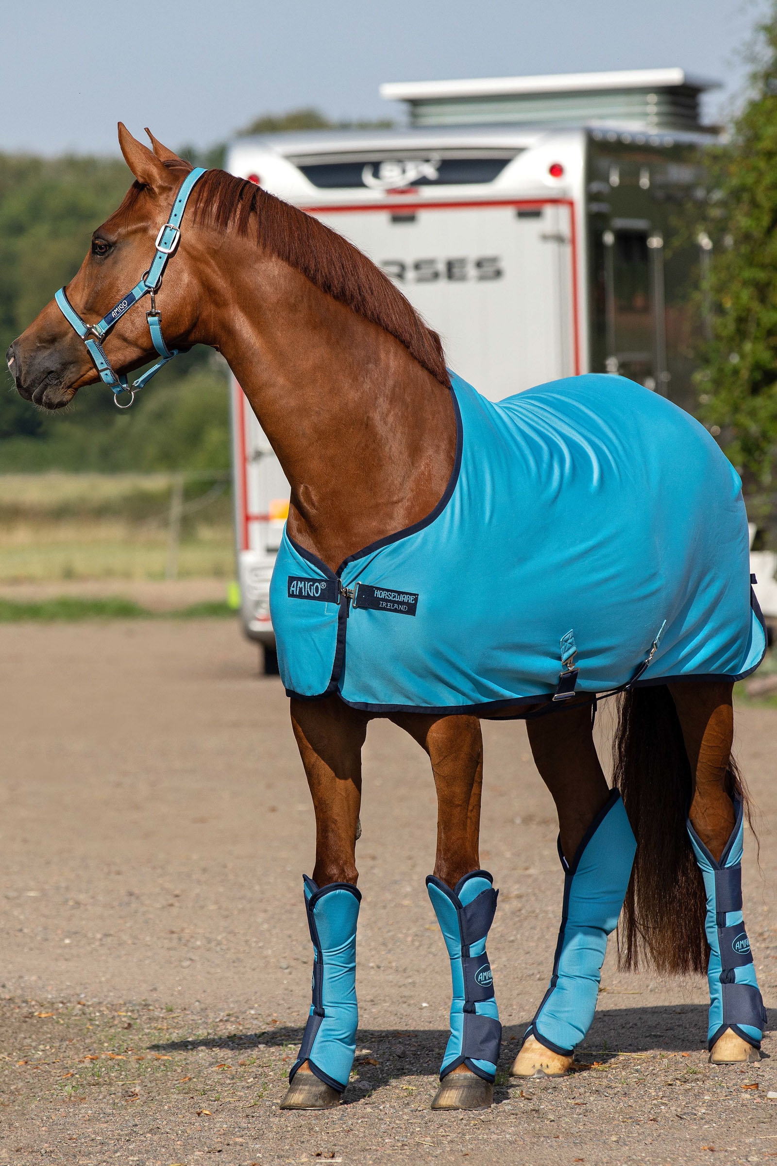 Horseware Amigo Jersey Cooler