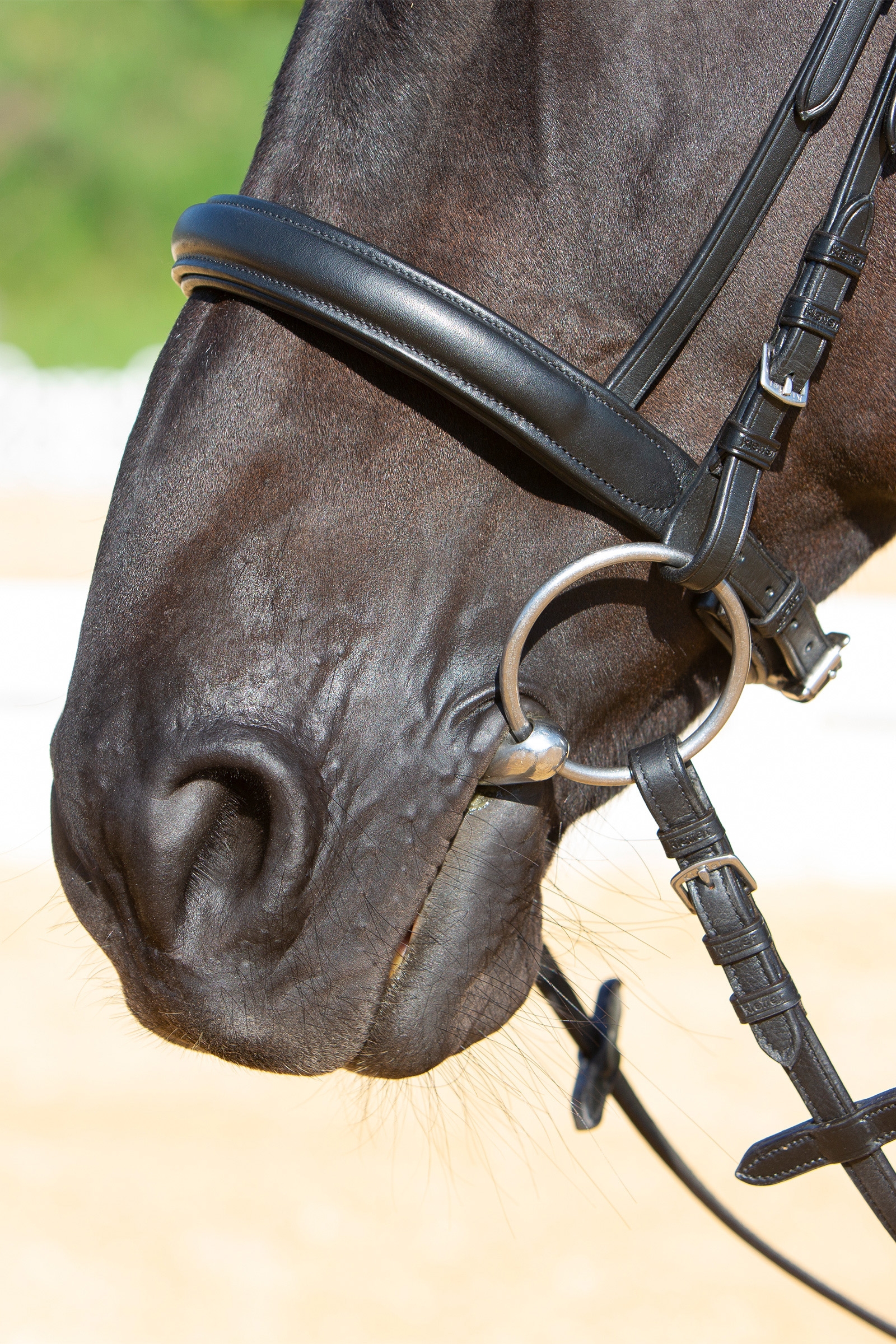 Kieffer Ultrasoft&reg; Sue Bridle
