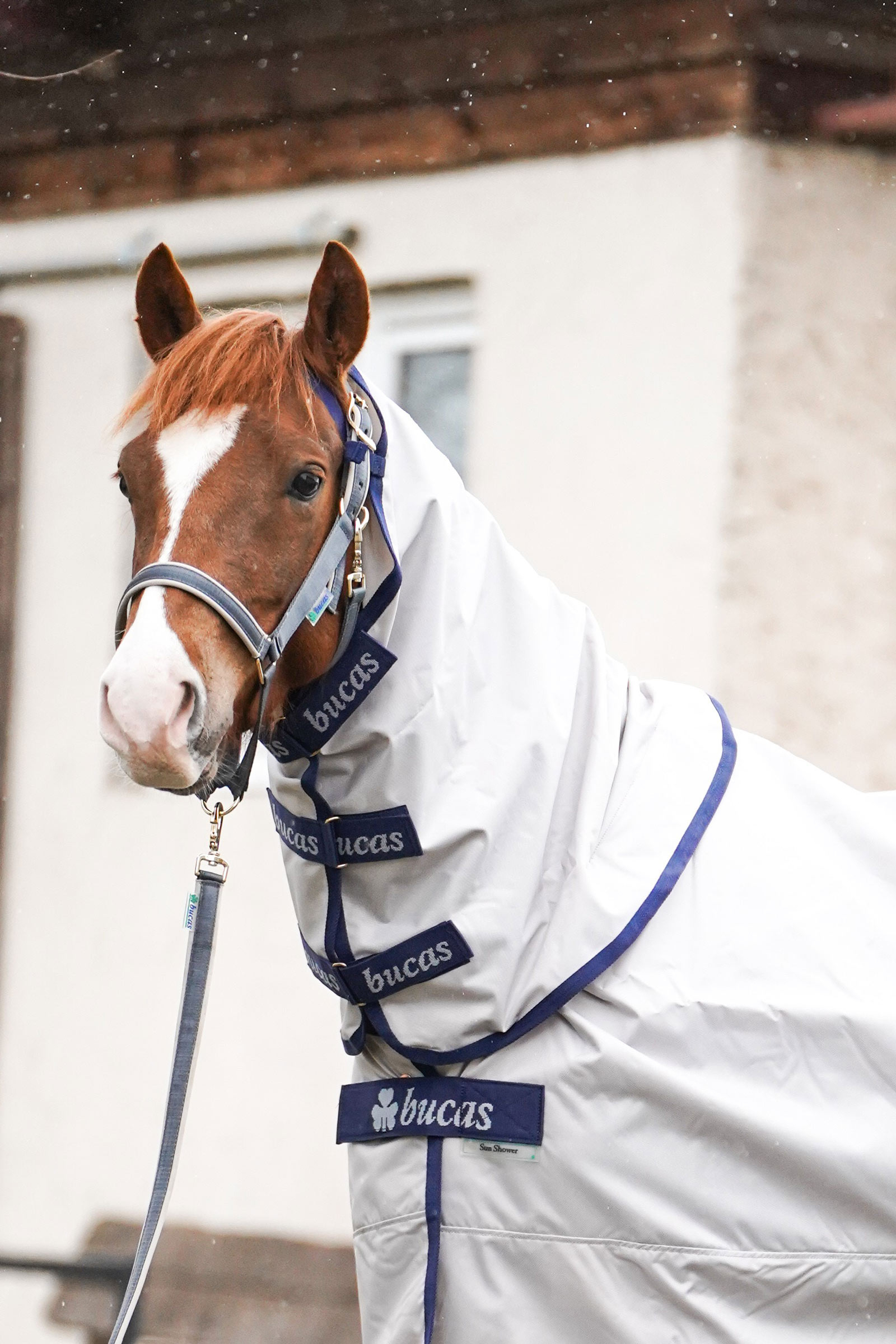 Bucas Sun Shower Neck, 0 g