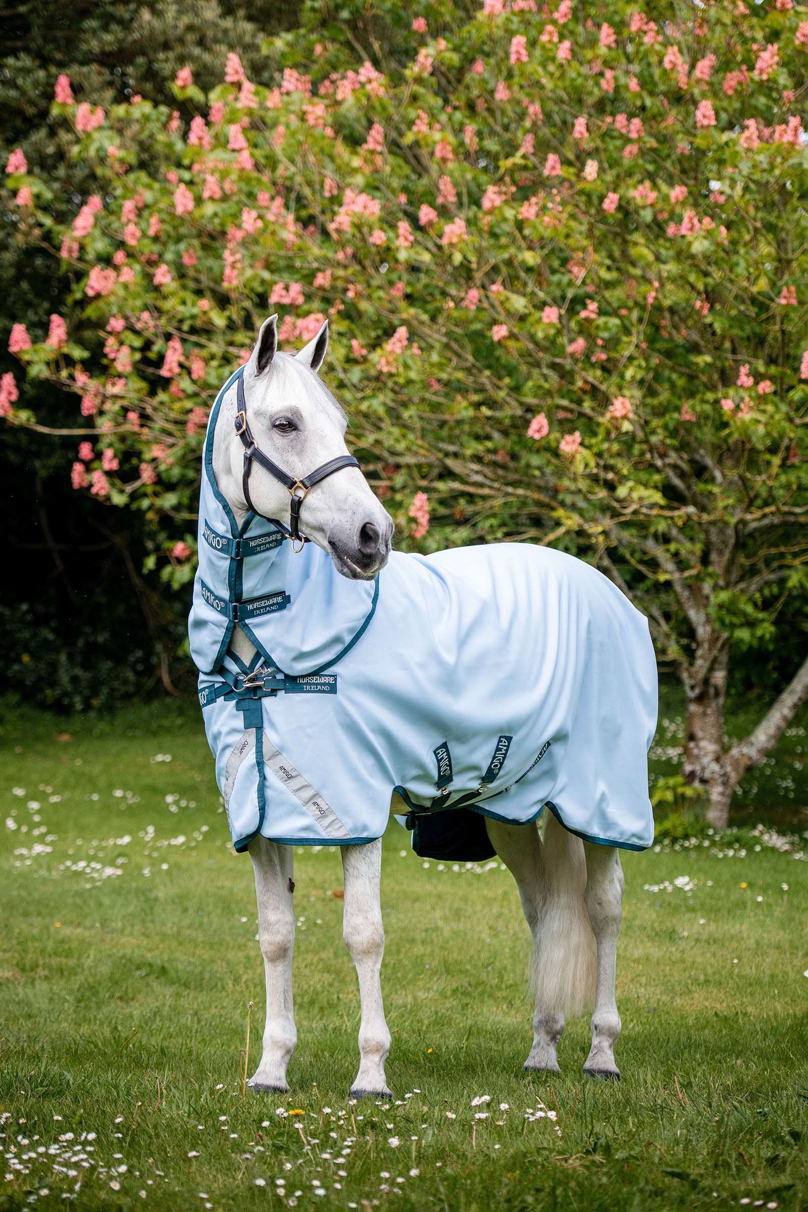 Horseware Amigo Plant Dye Turnout Rug, 50g