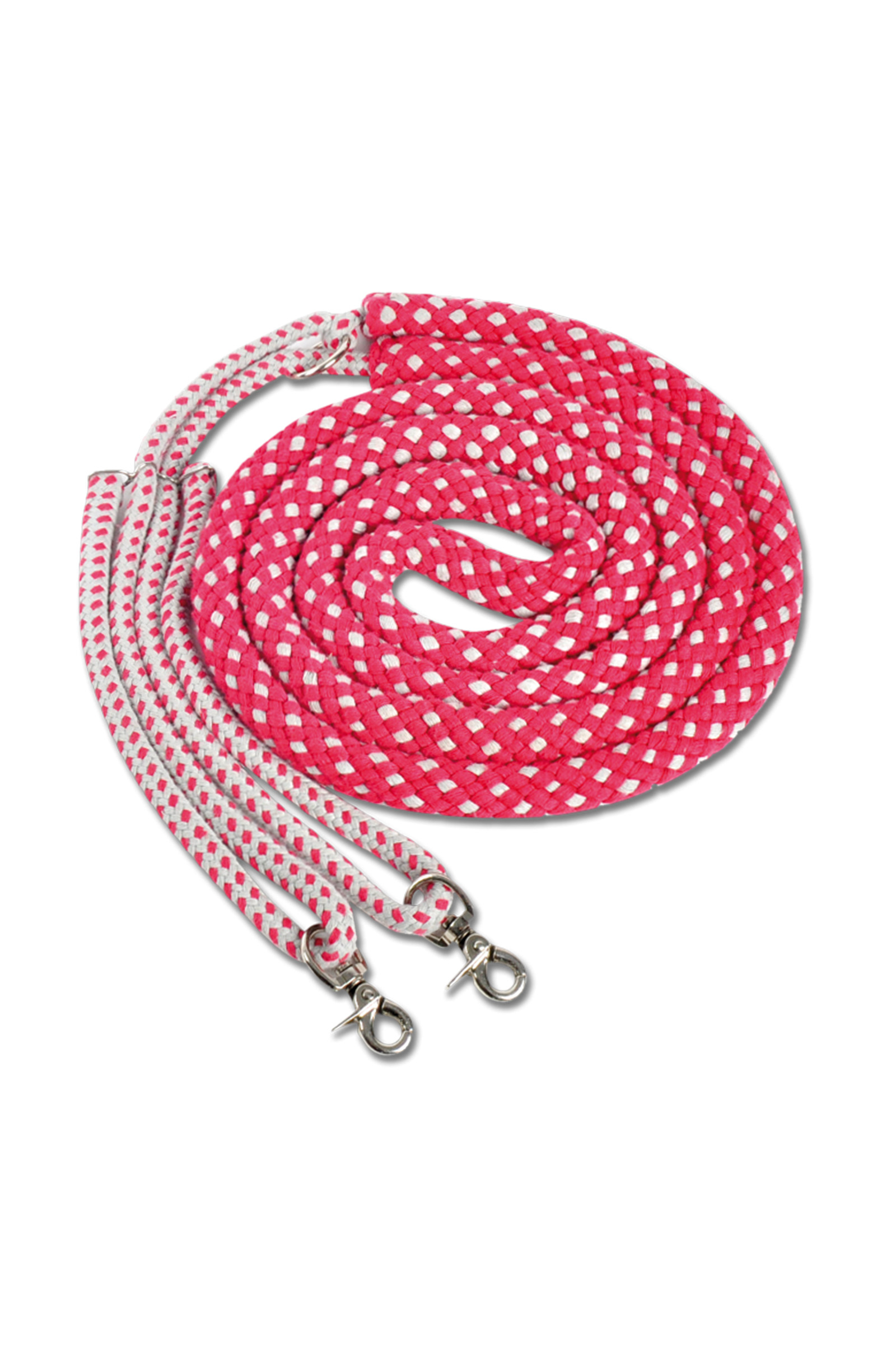 Waldhausen Lunging System