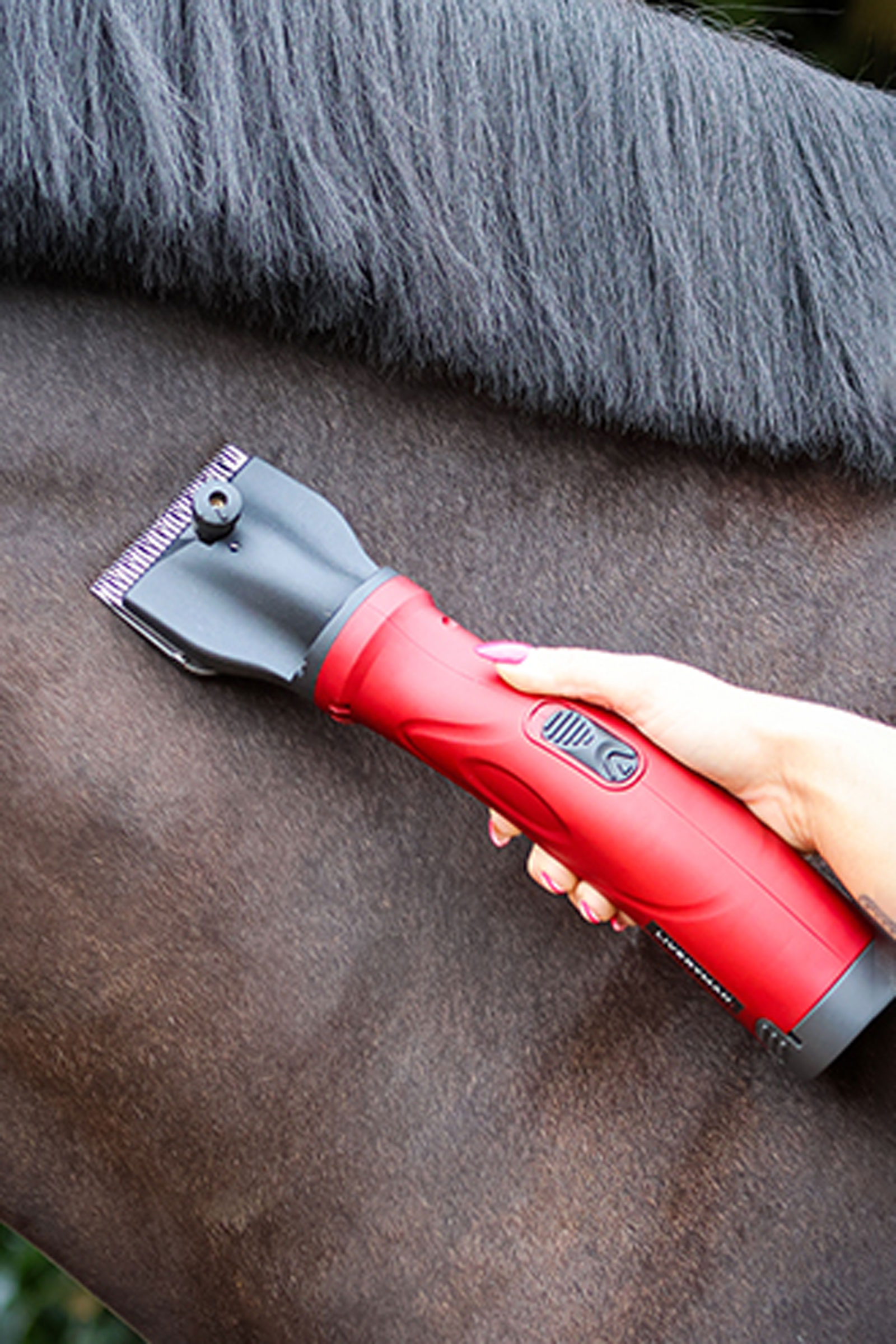 Liveryman Phoenix EU Clipper, 2.4 mm