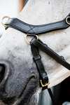 Horseware Micklem 2 Multi Bridle