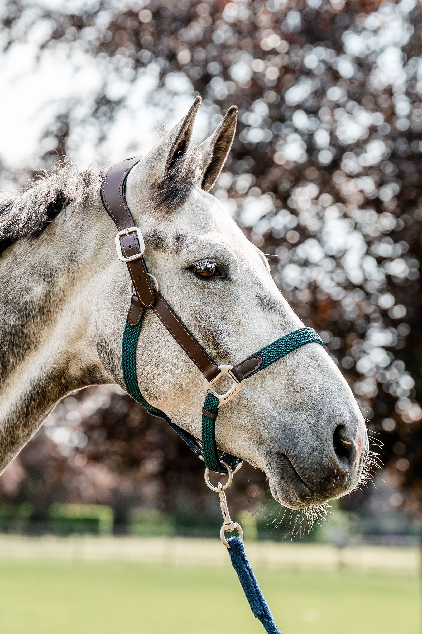 Horseware Signature Braided Headcollar