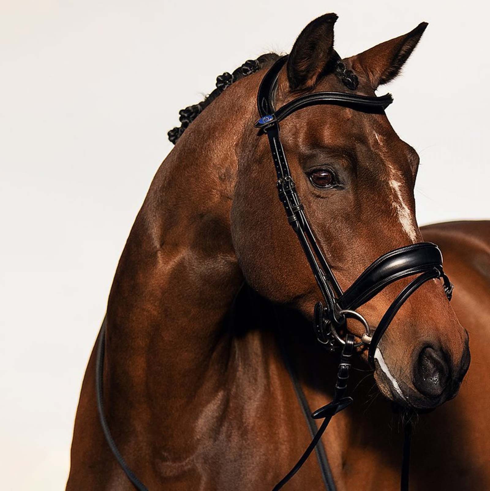 PS of Sweden Flying Change Bridle