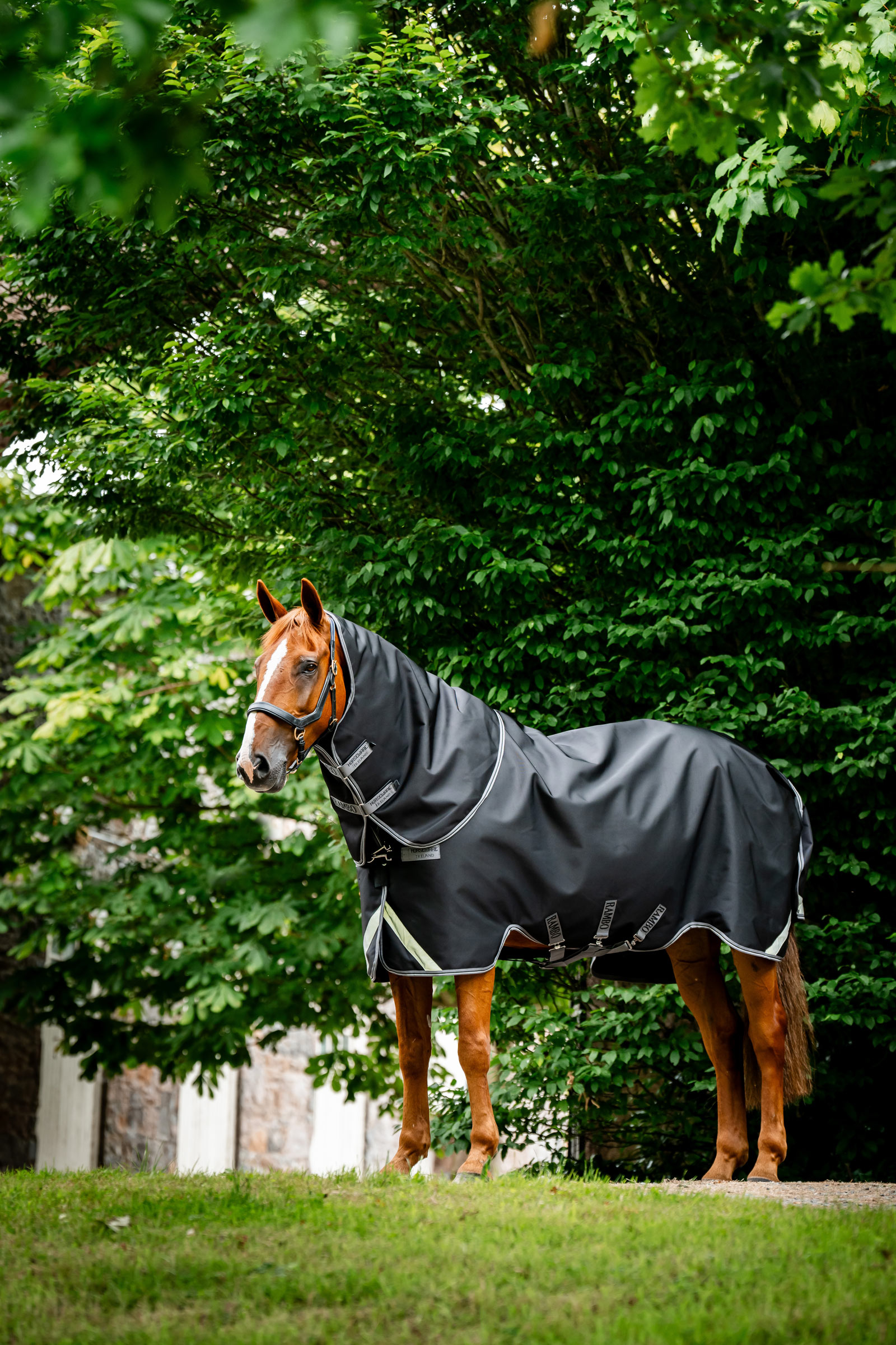 Horseware Rambo 1680D Plus Turnout Rug, 100 g