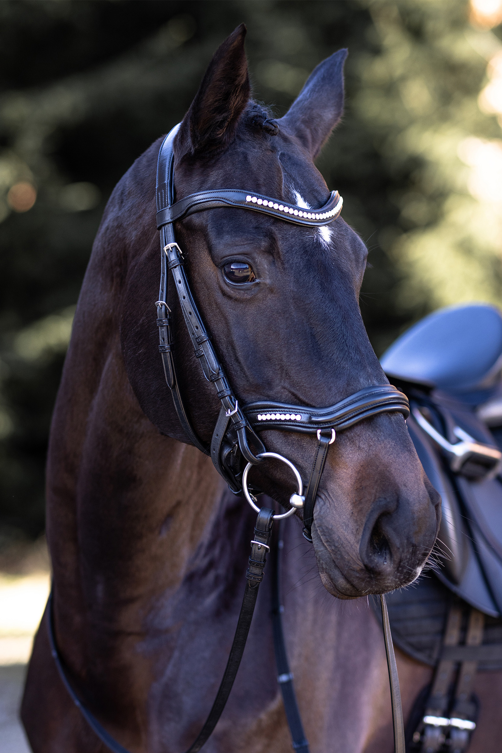 Kieffer Snaffle Bridle Ultrasoft&reg; Luna