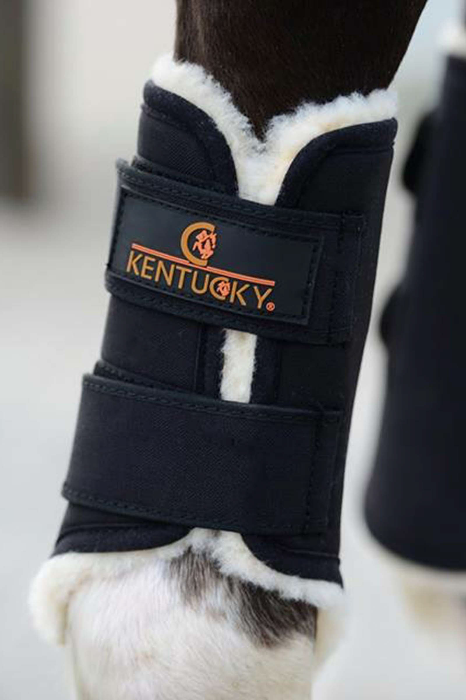 Kentucky Horsewear Solimbra Turnout Boots, Hind