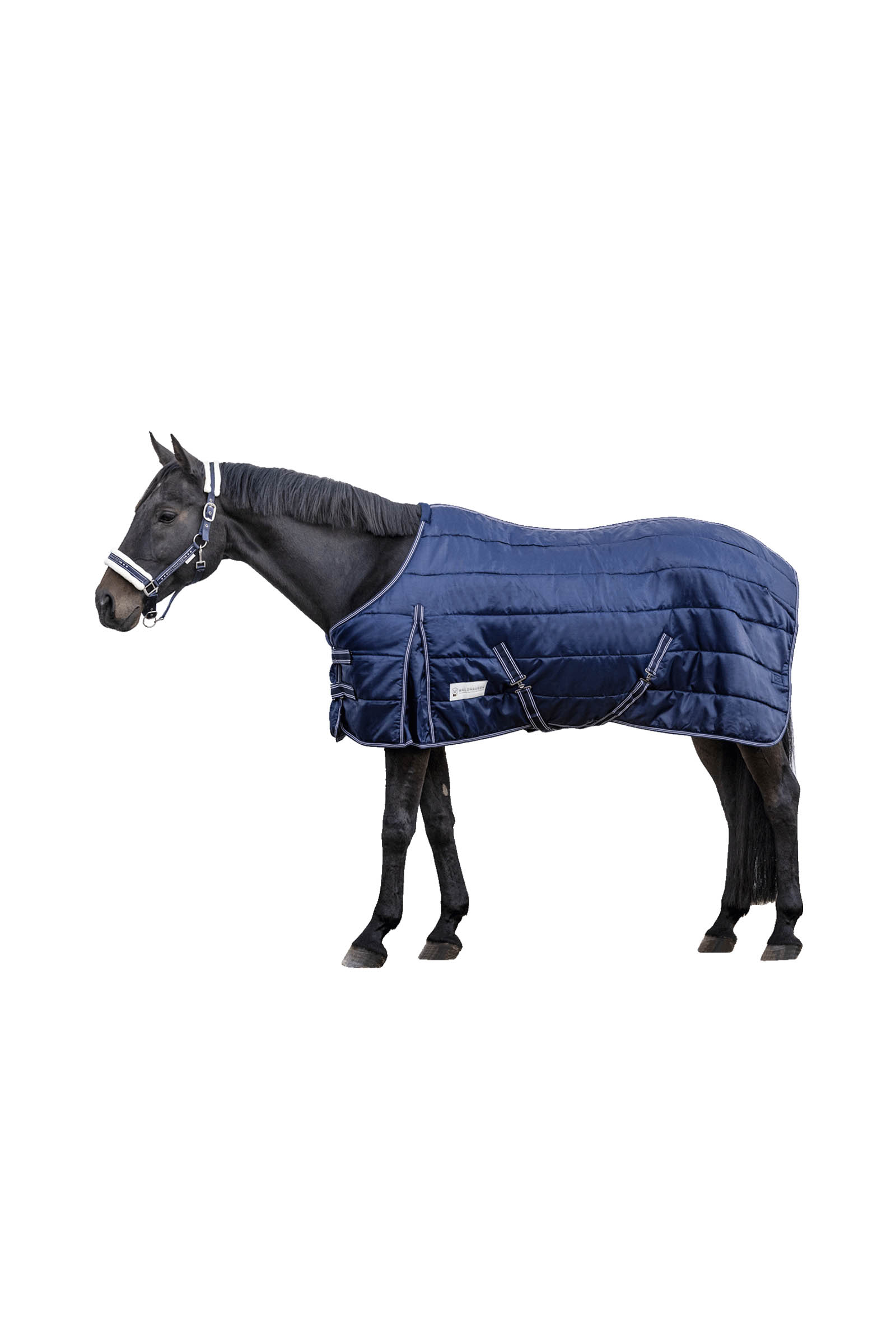 Waldhausen Stable rug Economic 200 g