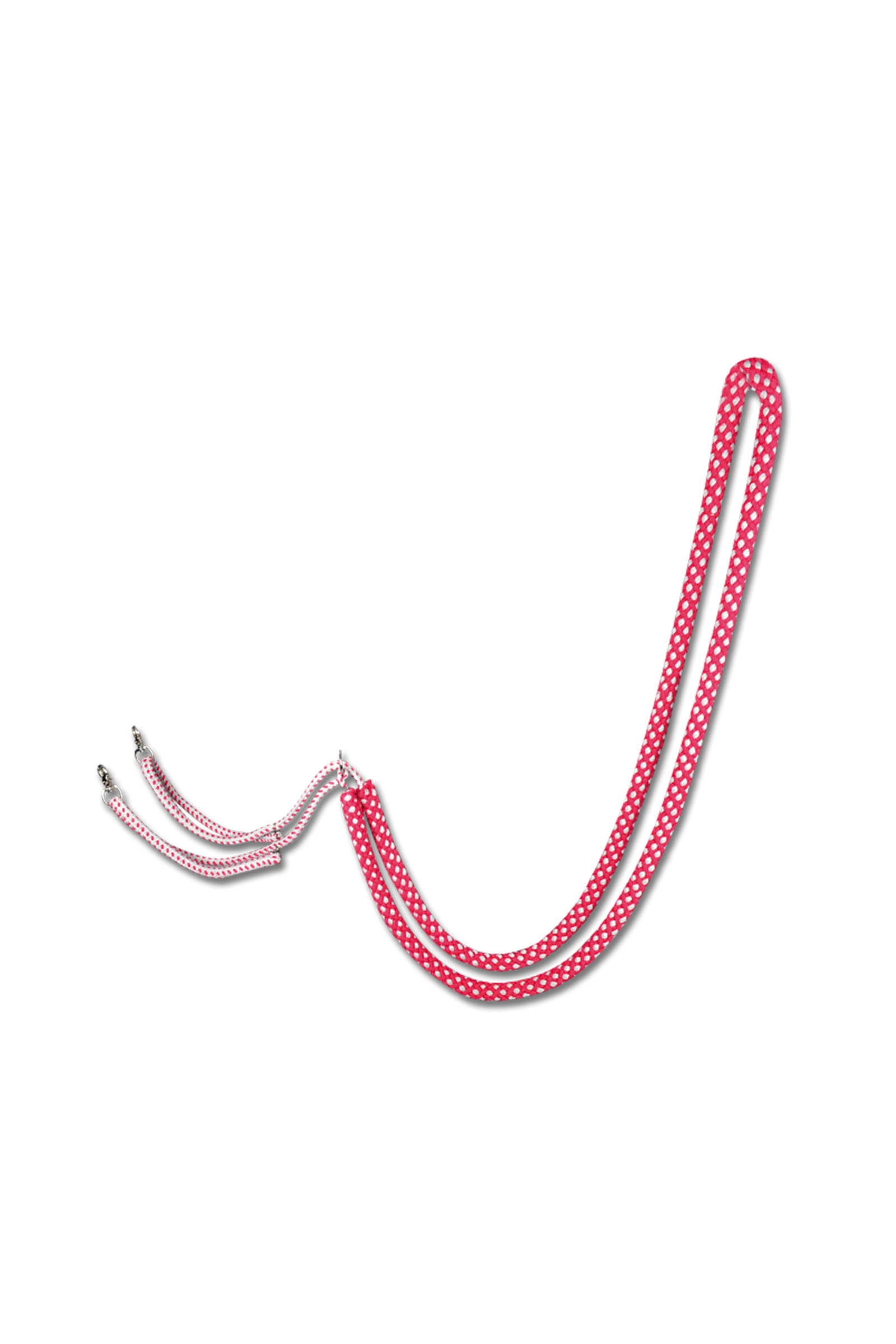 Waldhausen Lunging System