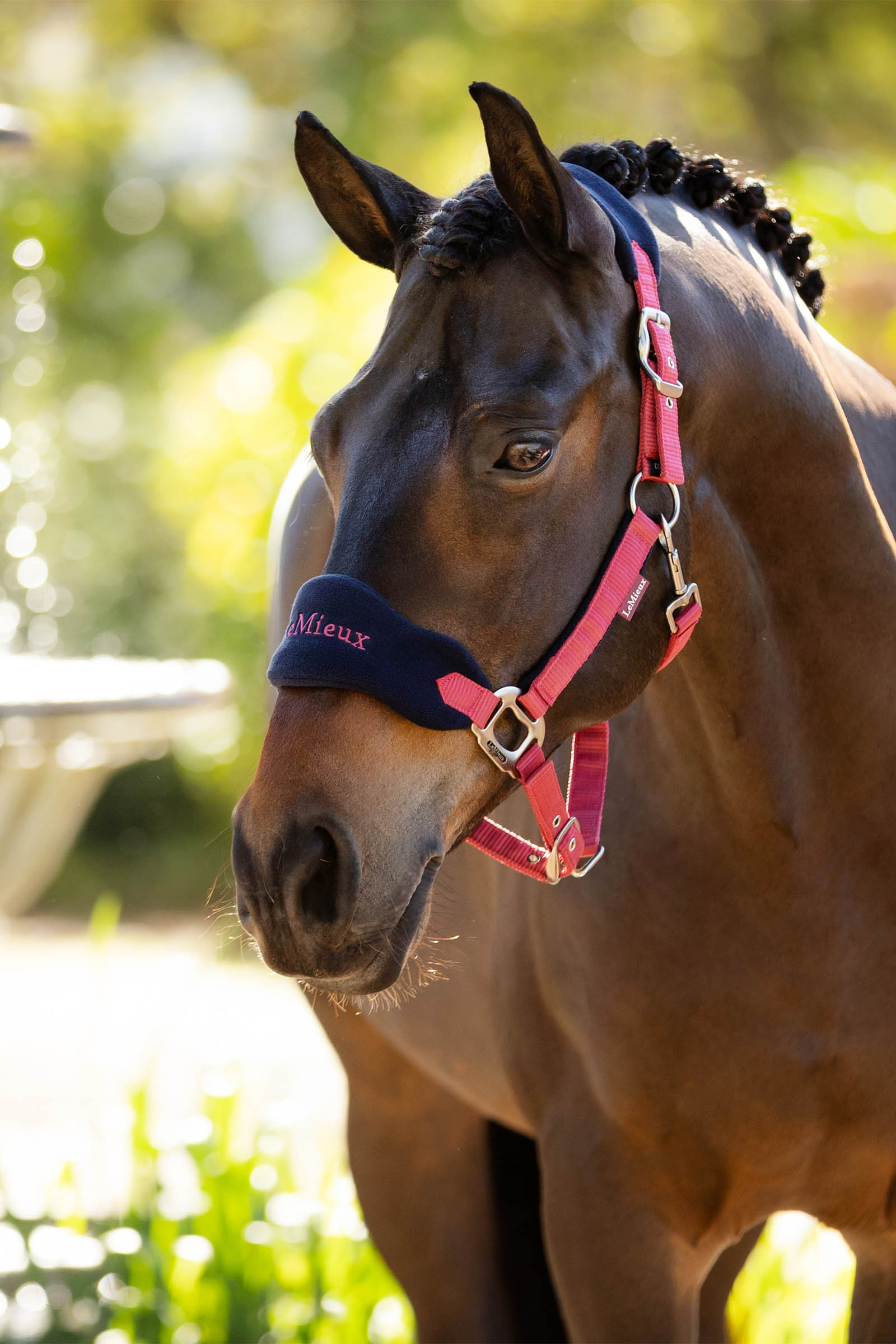 LeMieux Vogue Headcollar & Lead Rope Set