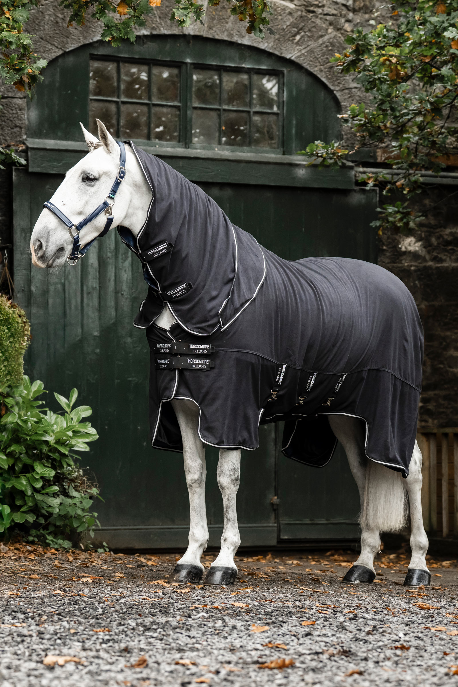 Black/Black/Silver Horseware Show Ready Rug