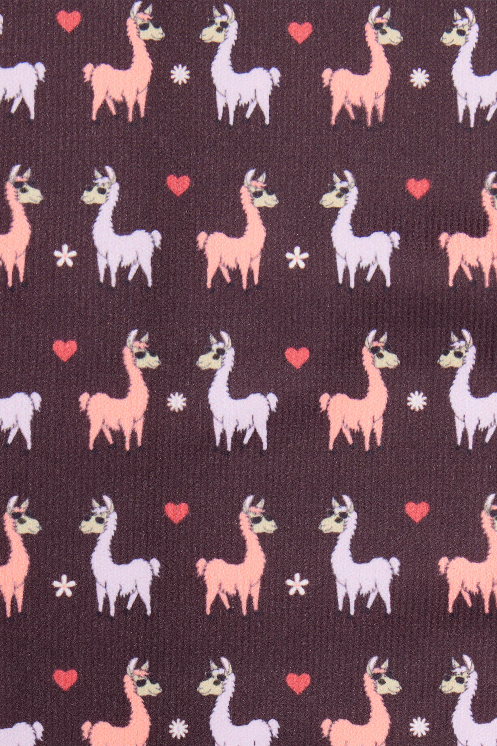 LeMieux Llamas Footsie Socks
