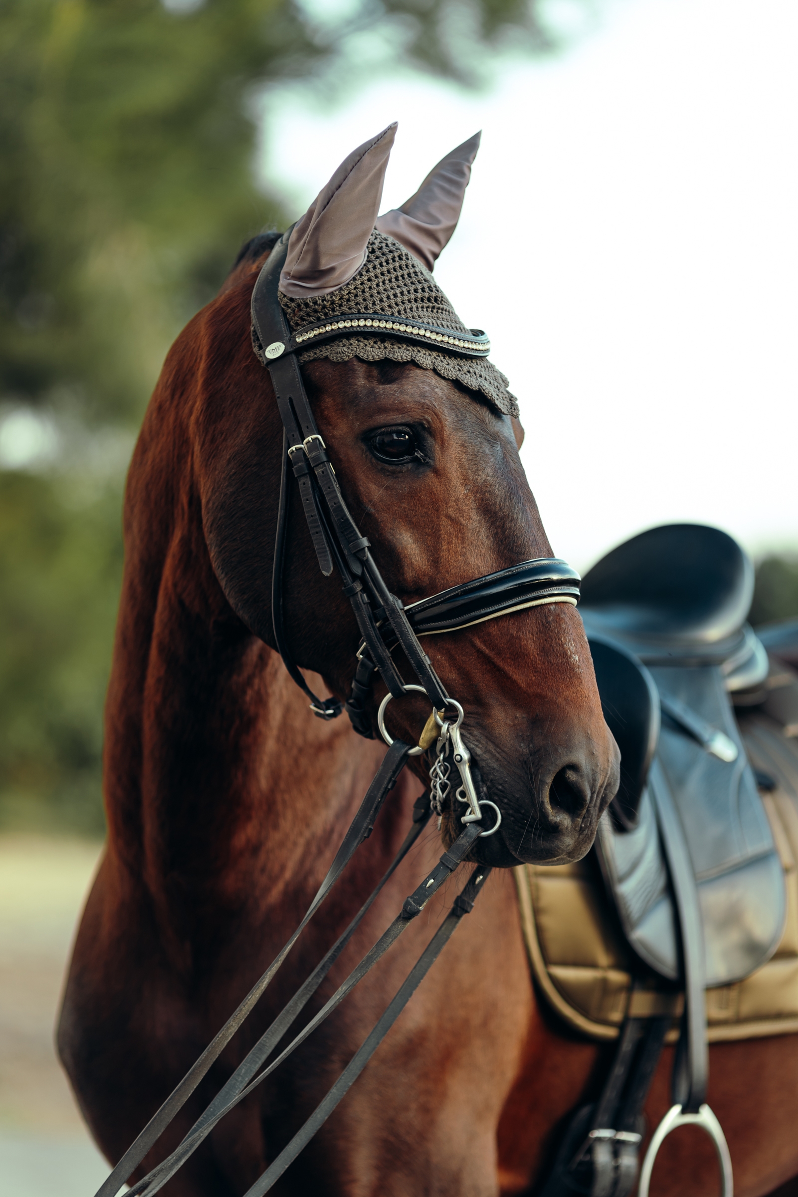 B Vertigo Drew Ear Net