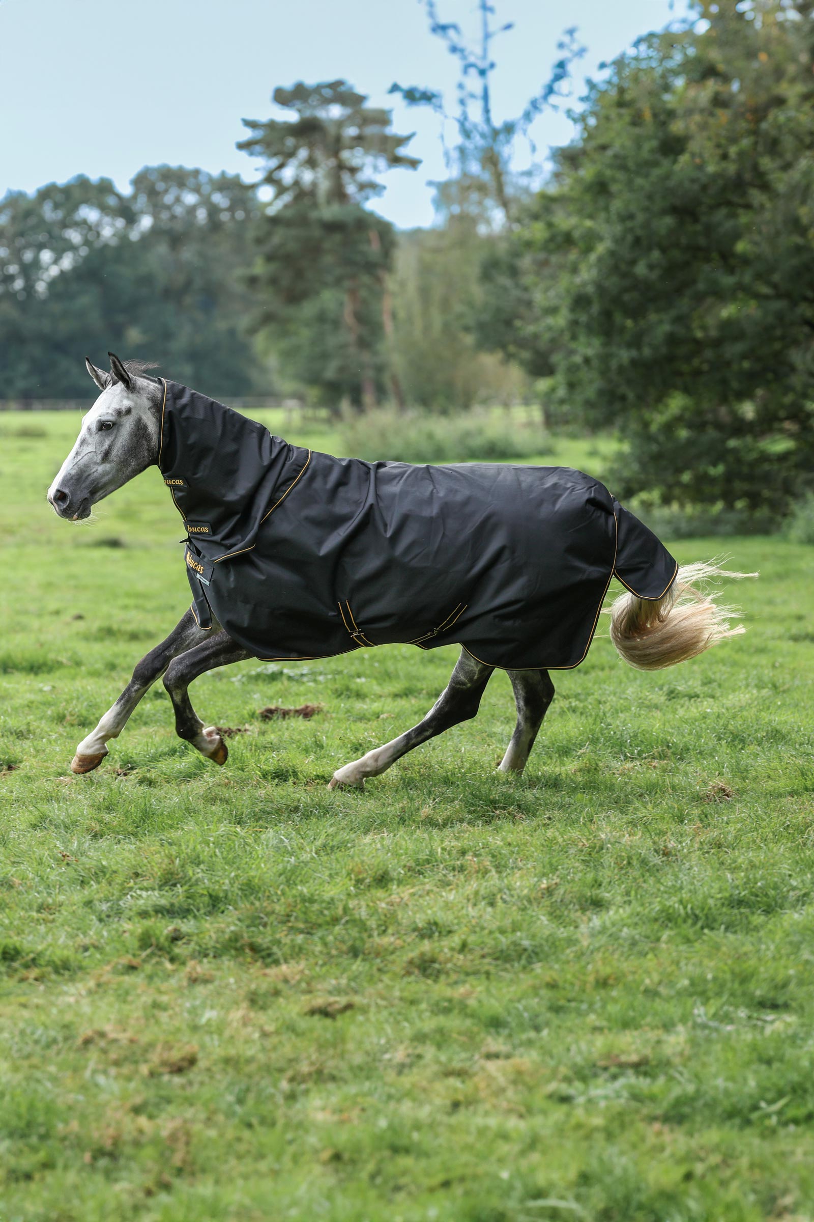 Bucas Irish Turnout Neck Piece, 0g