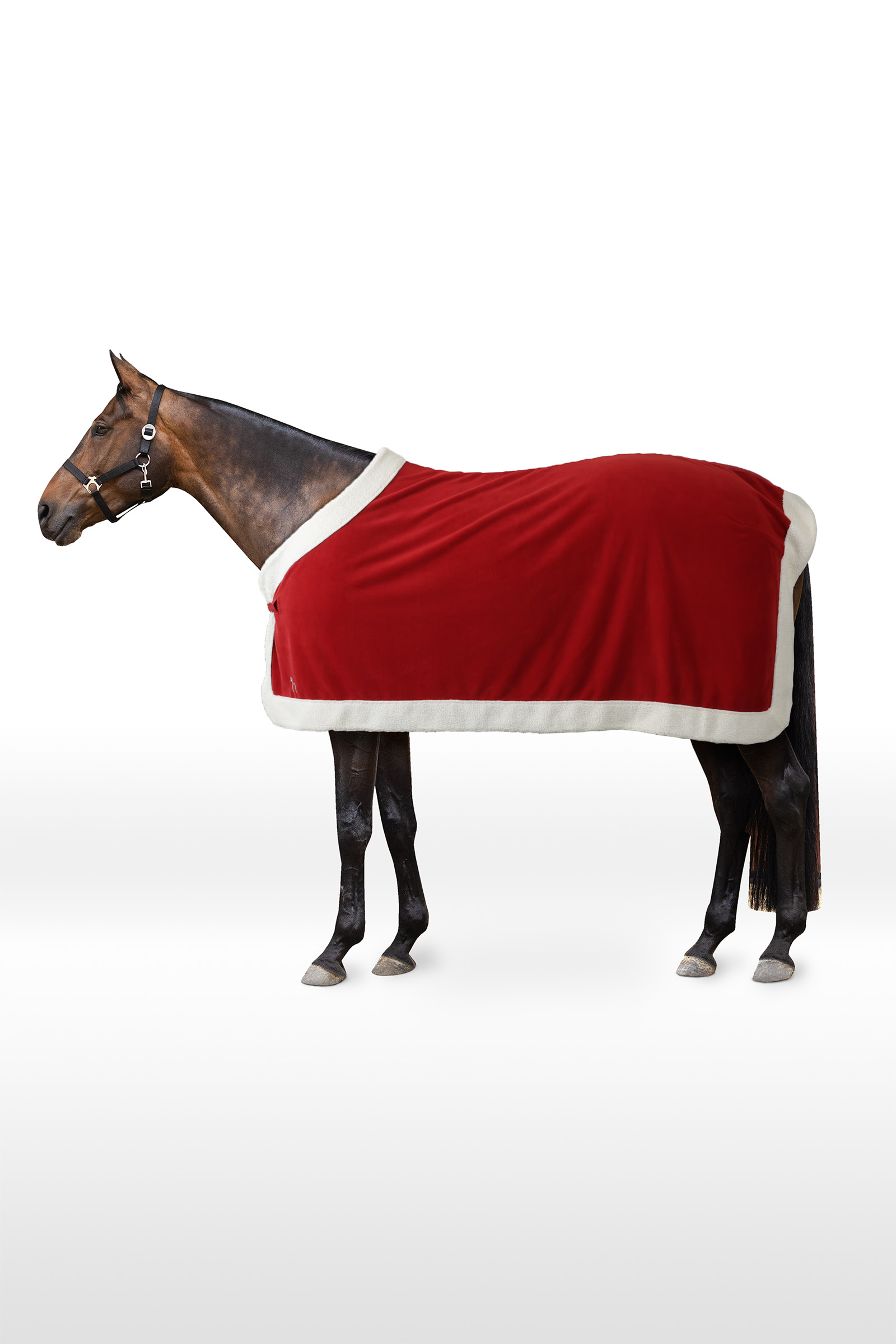 Horze Christmas Rug