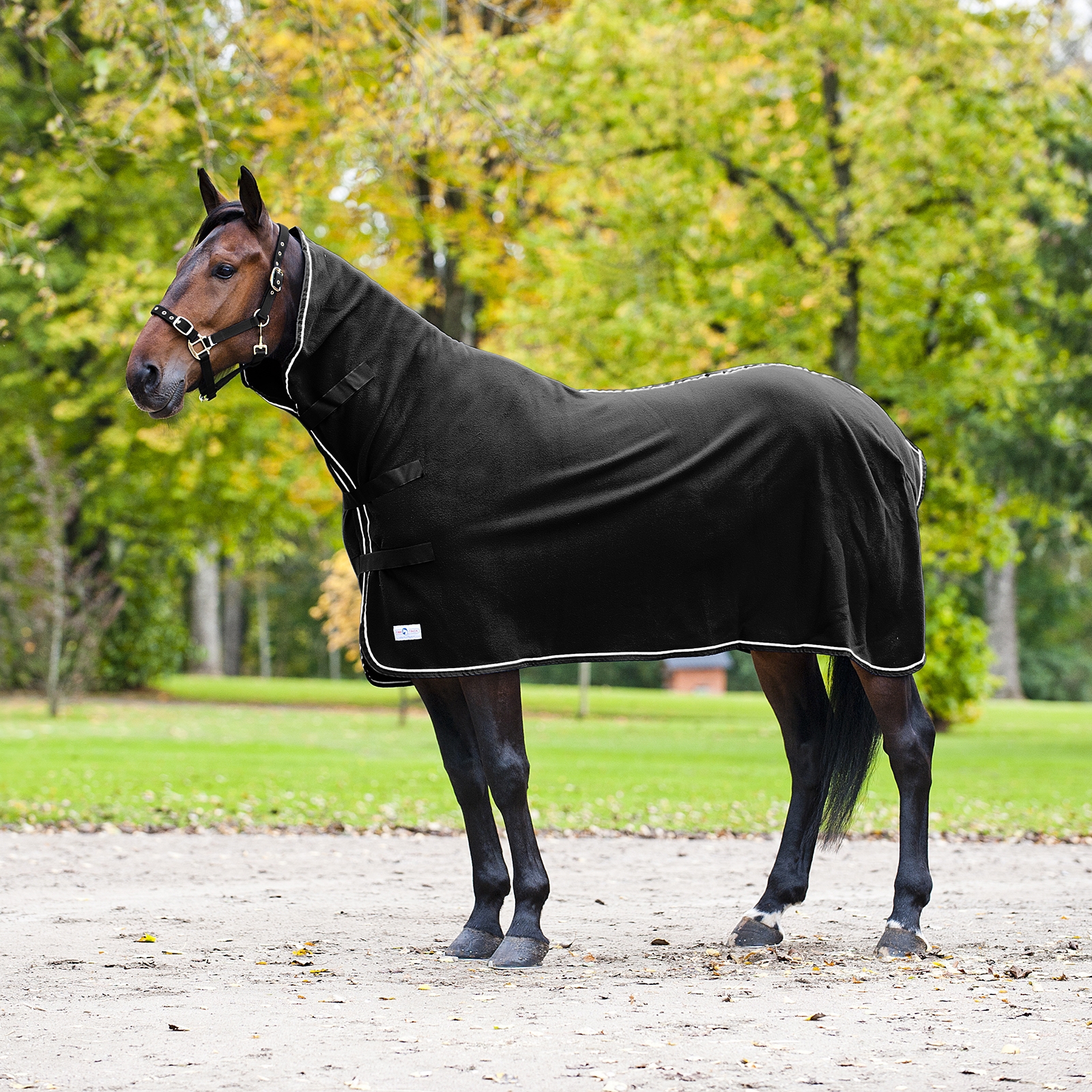 Black/Black Finntack Pro High Neck Cooler Rug