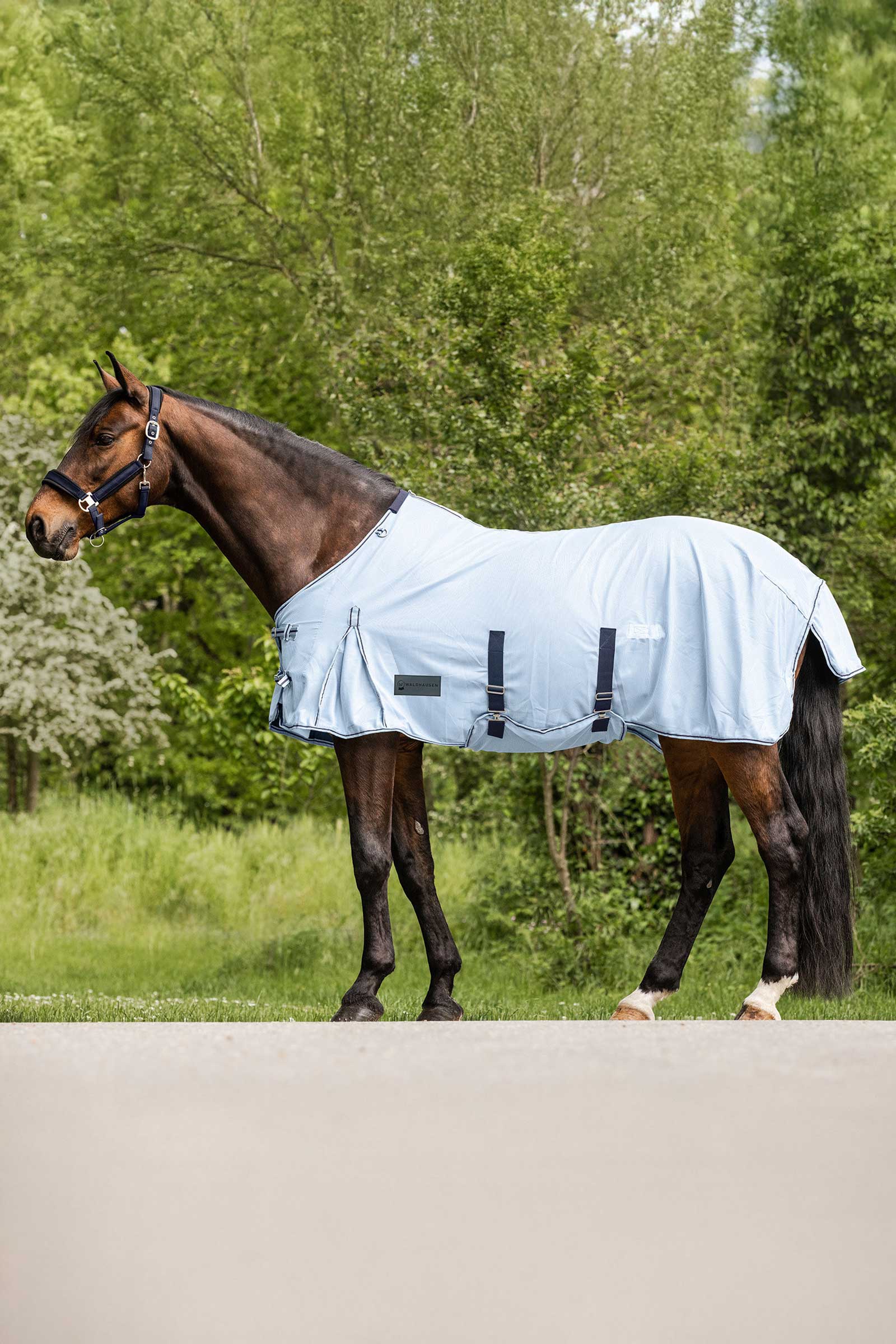 Light Blue/Night Blue Waldhausen Protect Fly Rug