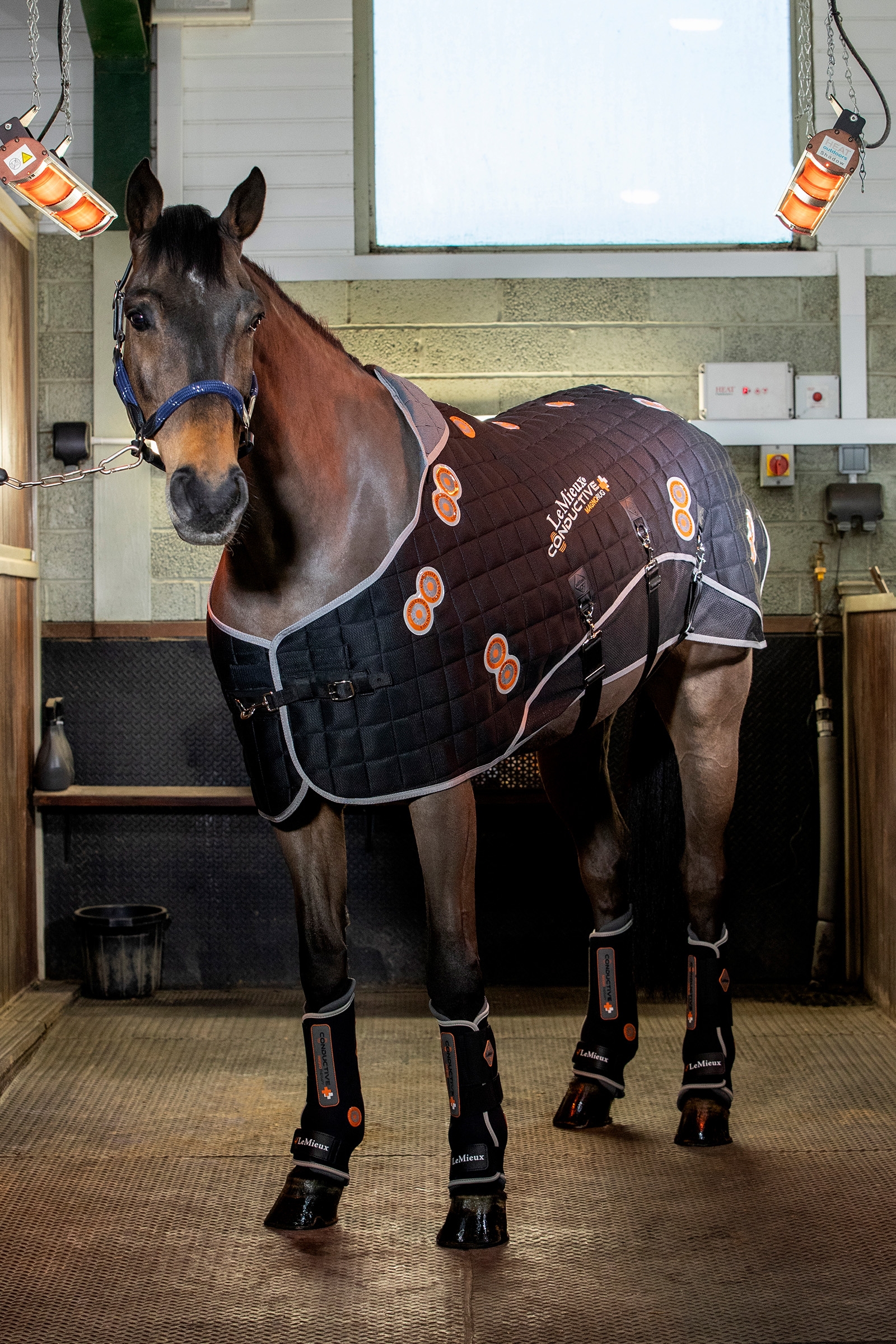 LeMieux Conductive MagnoRug Magnetic Therapy Rug