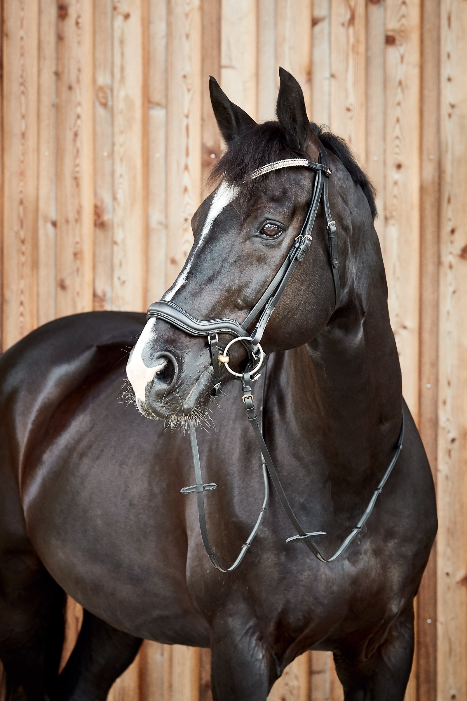 Horze Highbury Anatomic Bridle with Crystal Brow Band