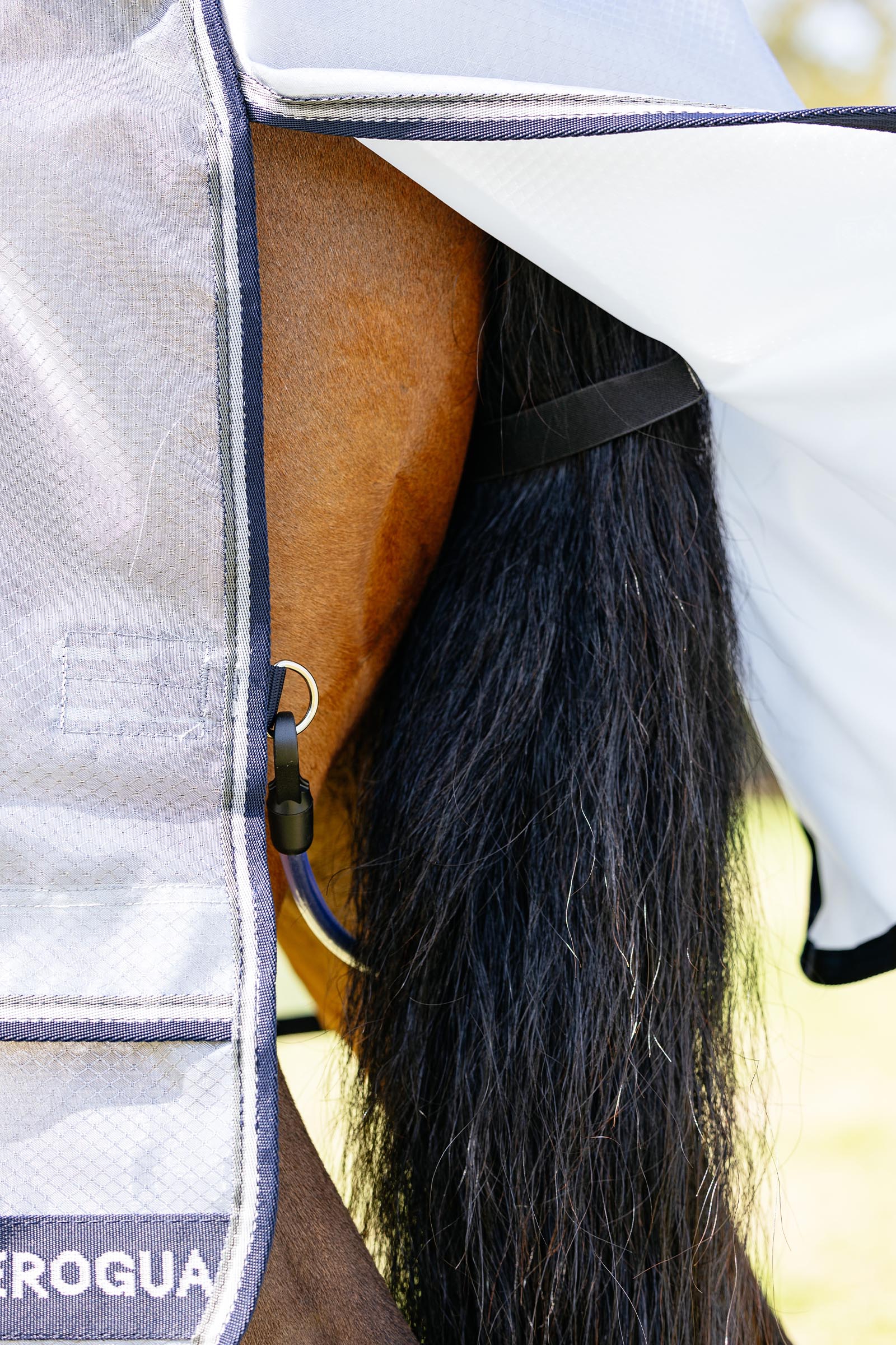 LeMieux Kudos AeroGuard Fly Rug w. Detachable Neck