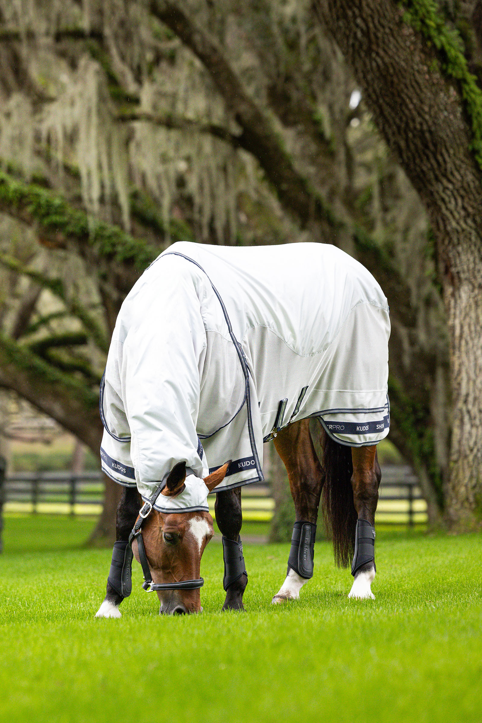 LeMieux Kudos Shower Pro Waterproof Fly Rug