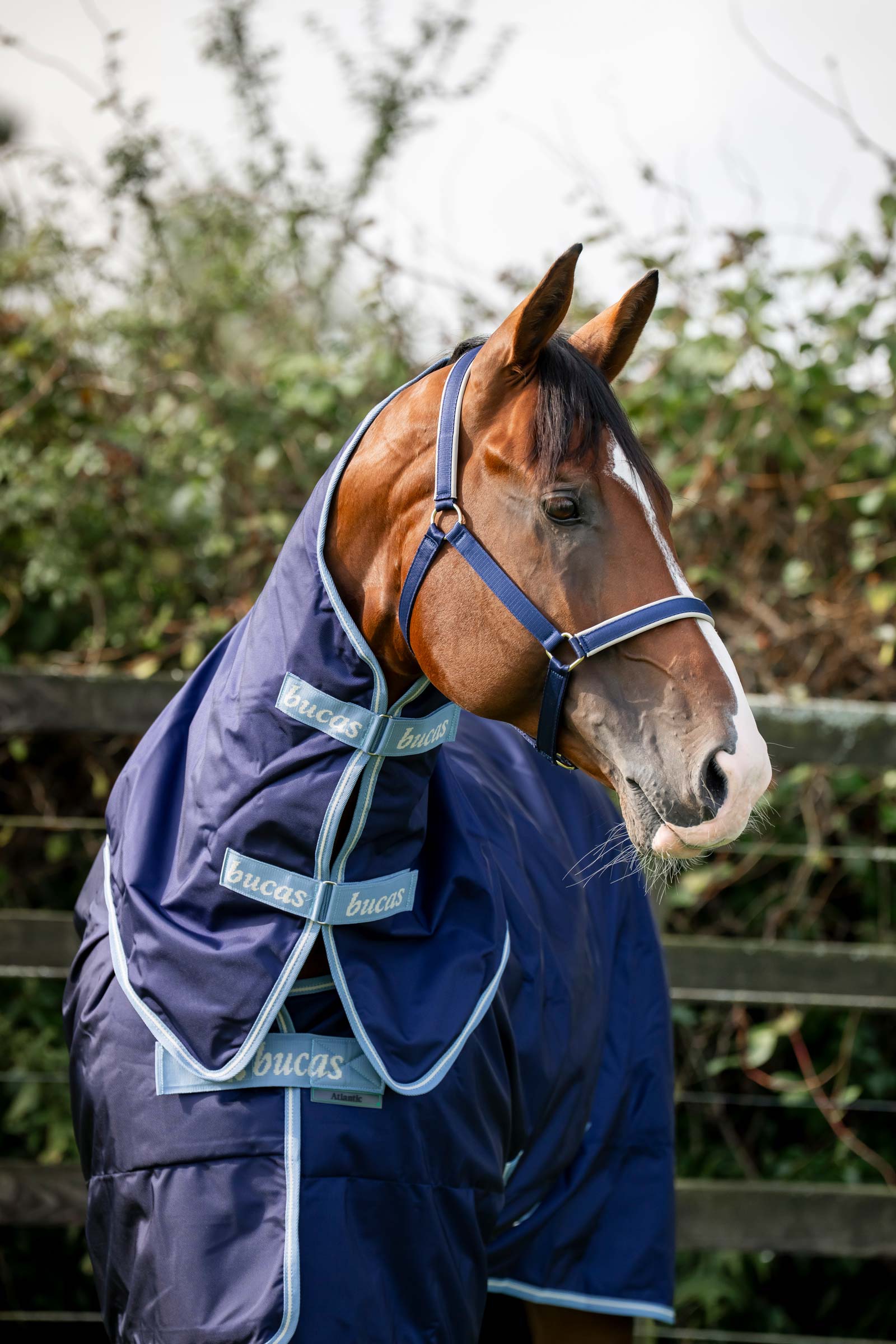 Bucas Atlantic Exclusive Rug & Neck, 150 g