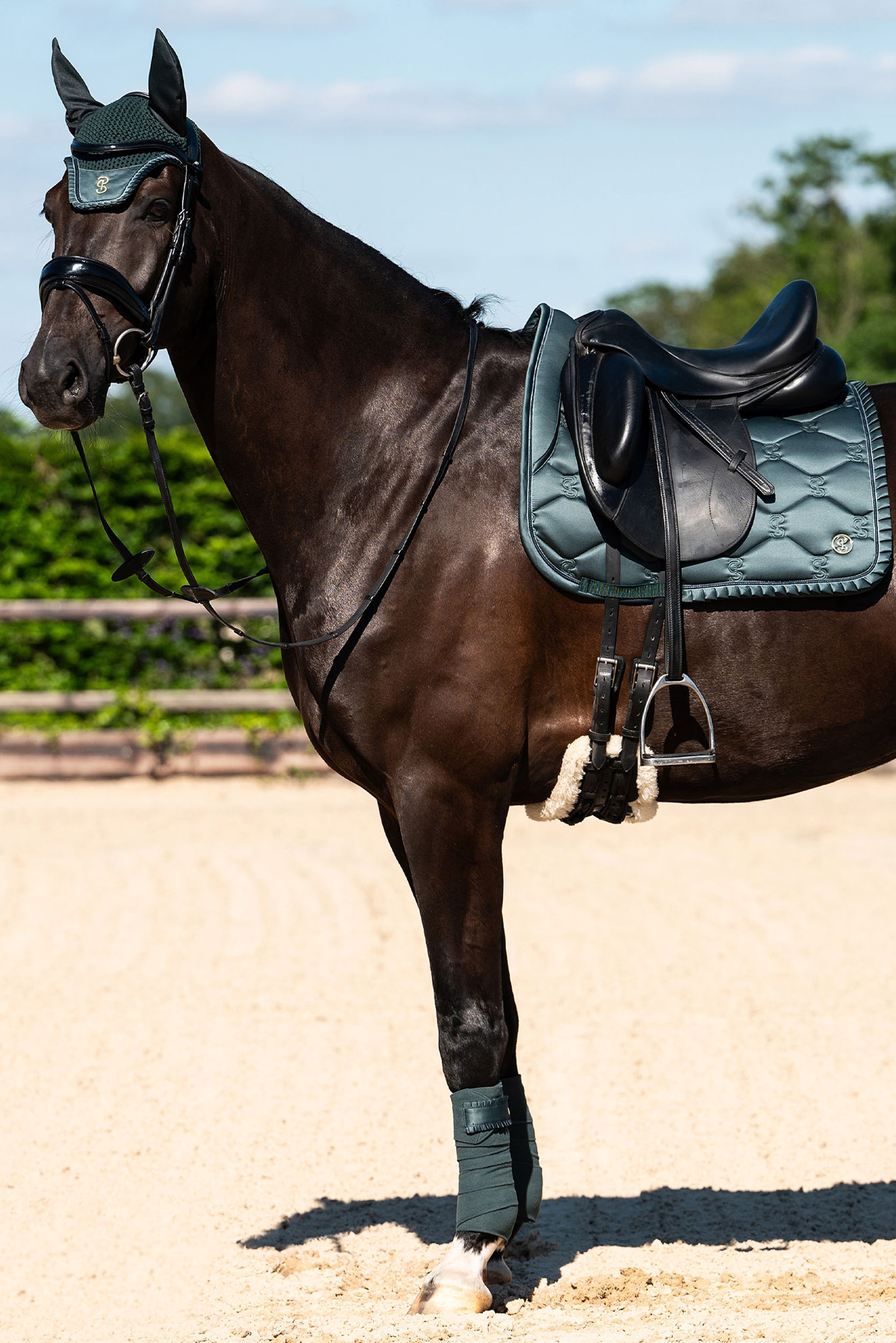 PS of Sweden Ruffle Dressage Saddle Pad