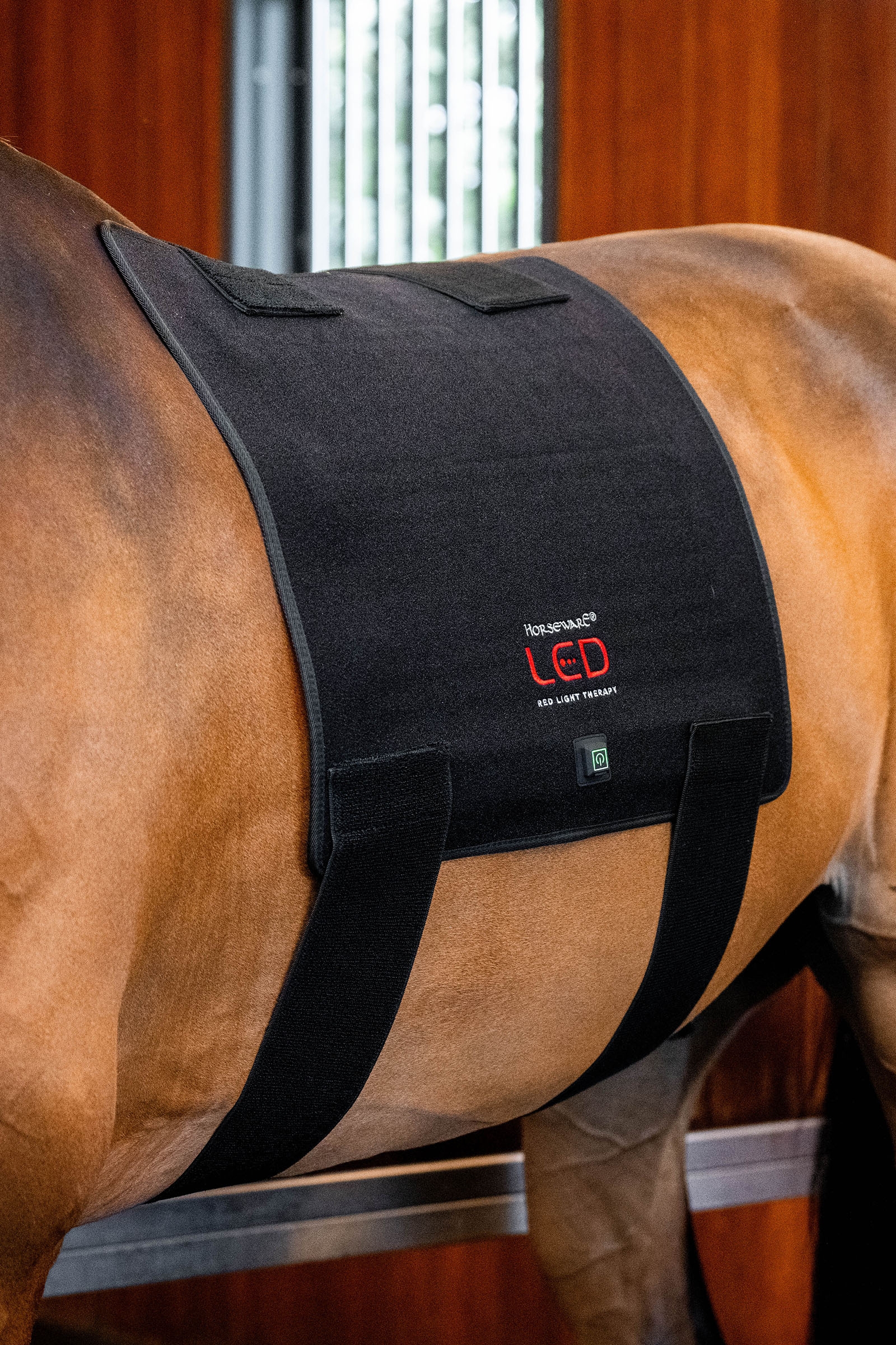 Horseware LED Red Light Therapy Pad