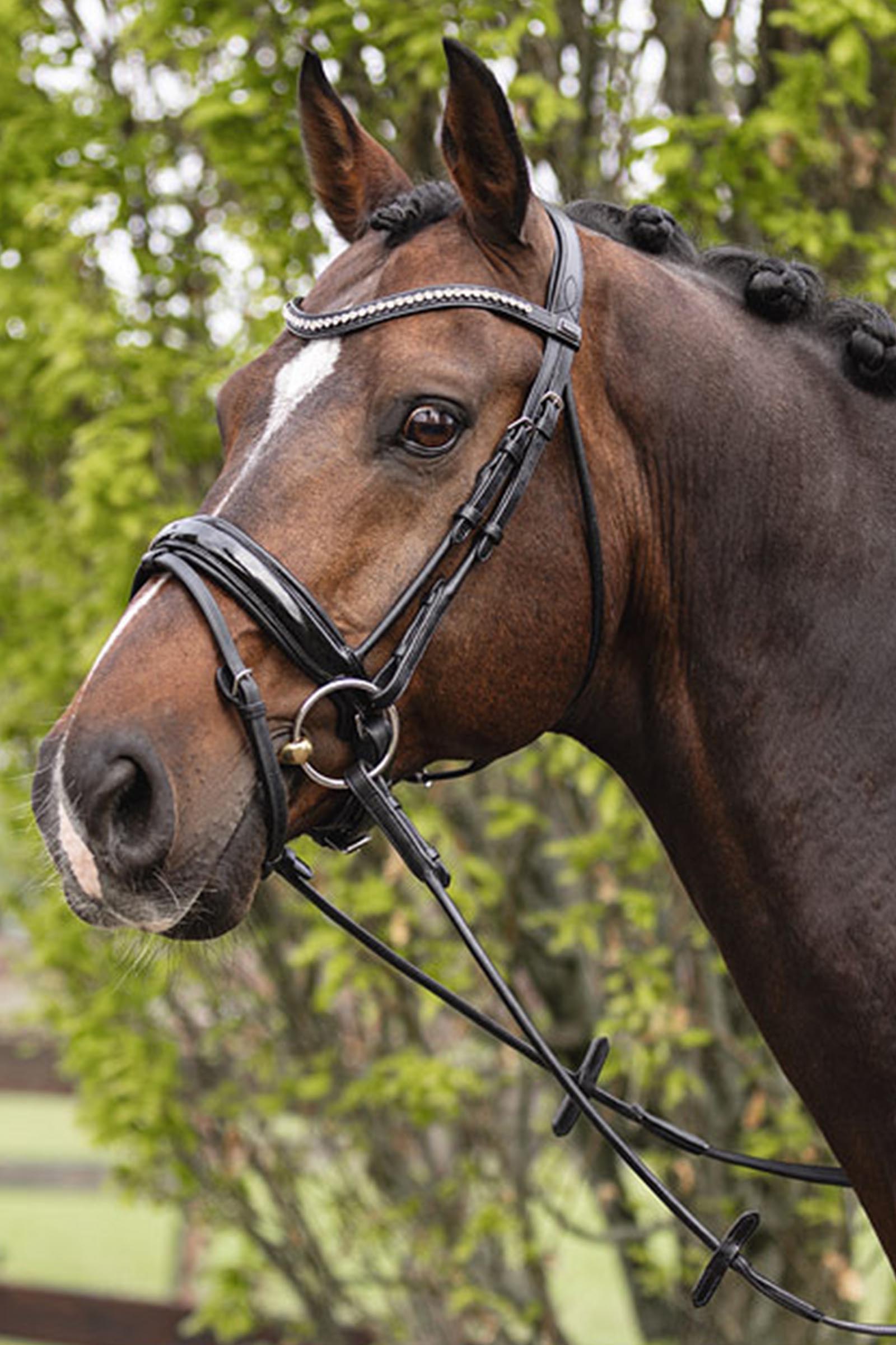 ANKY Anatomic Bridle Shaped Noseband