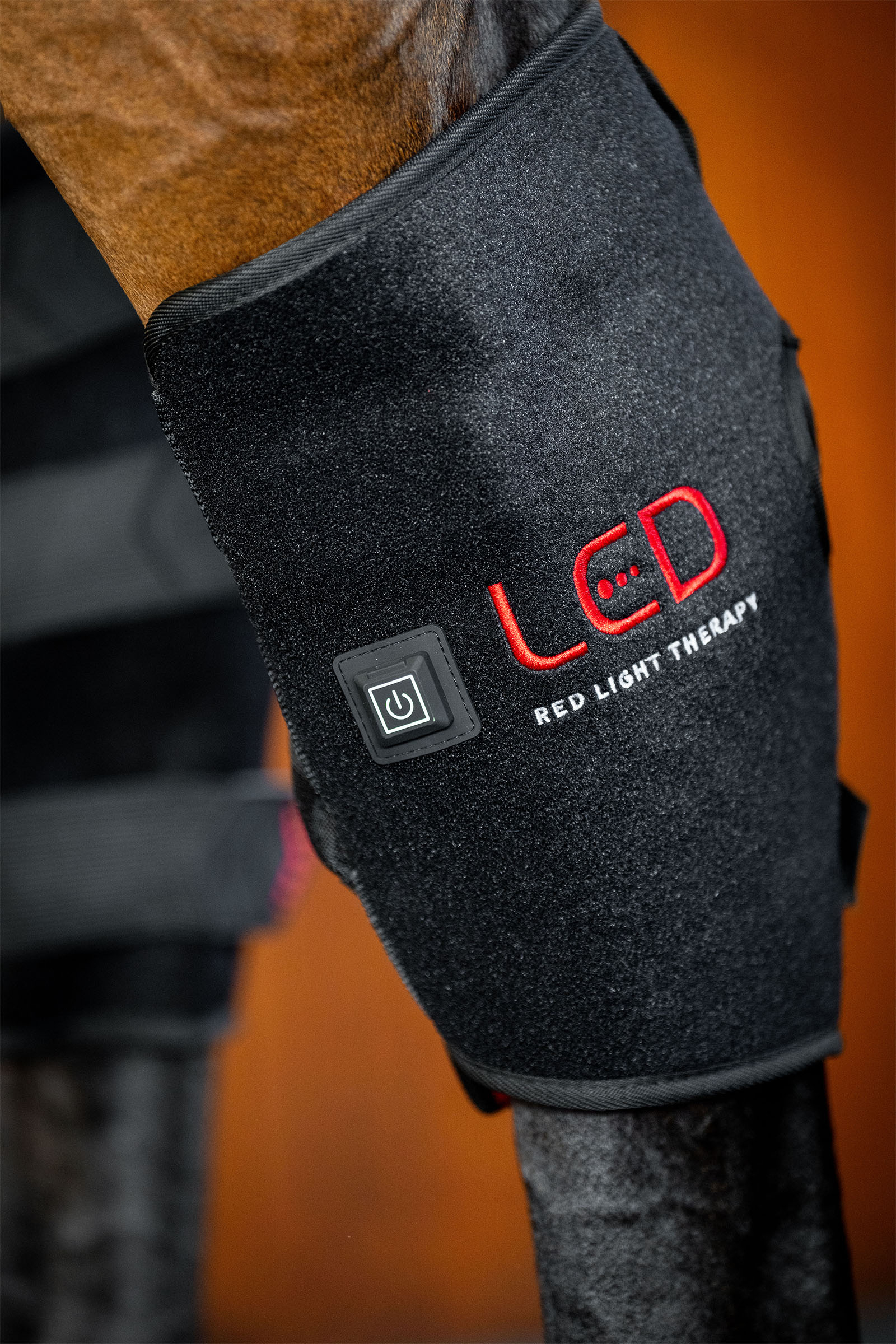 Horseware LED Red Light Therapy Hock Boot (1 pc.)