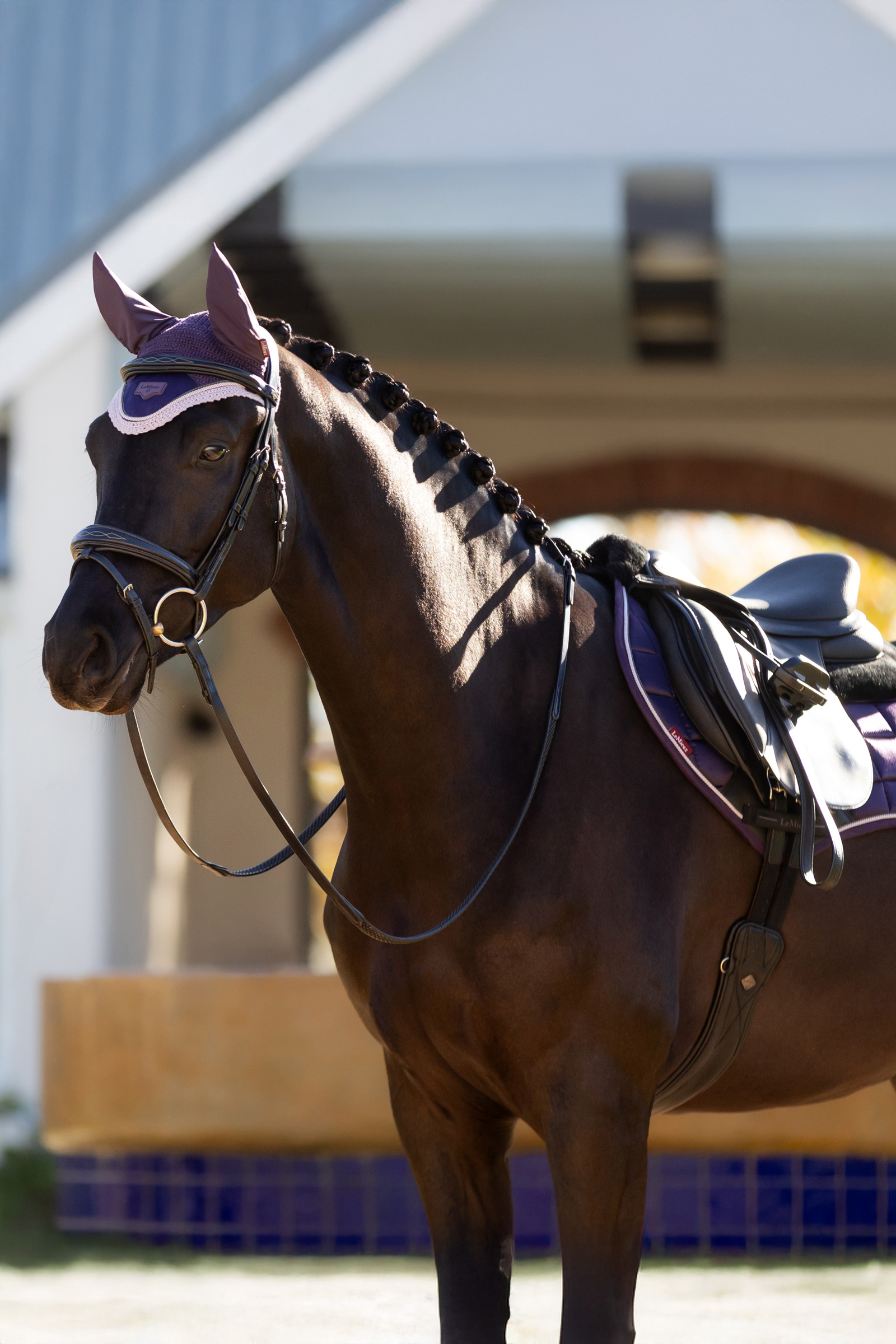 LeMieux Merino+ Loire Classic Close Contact Saddle Pad