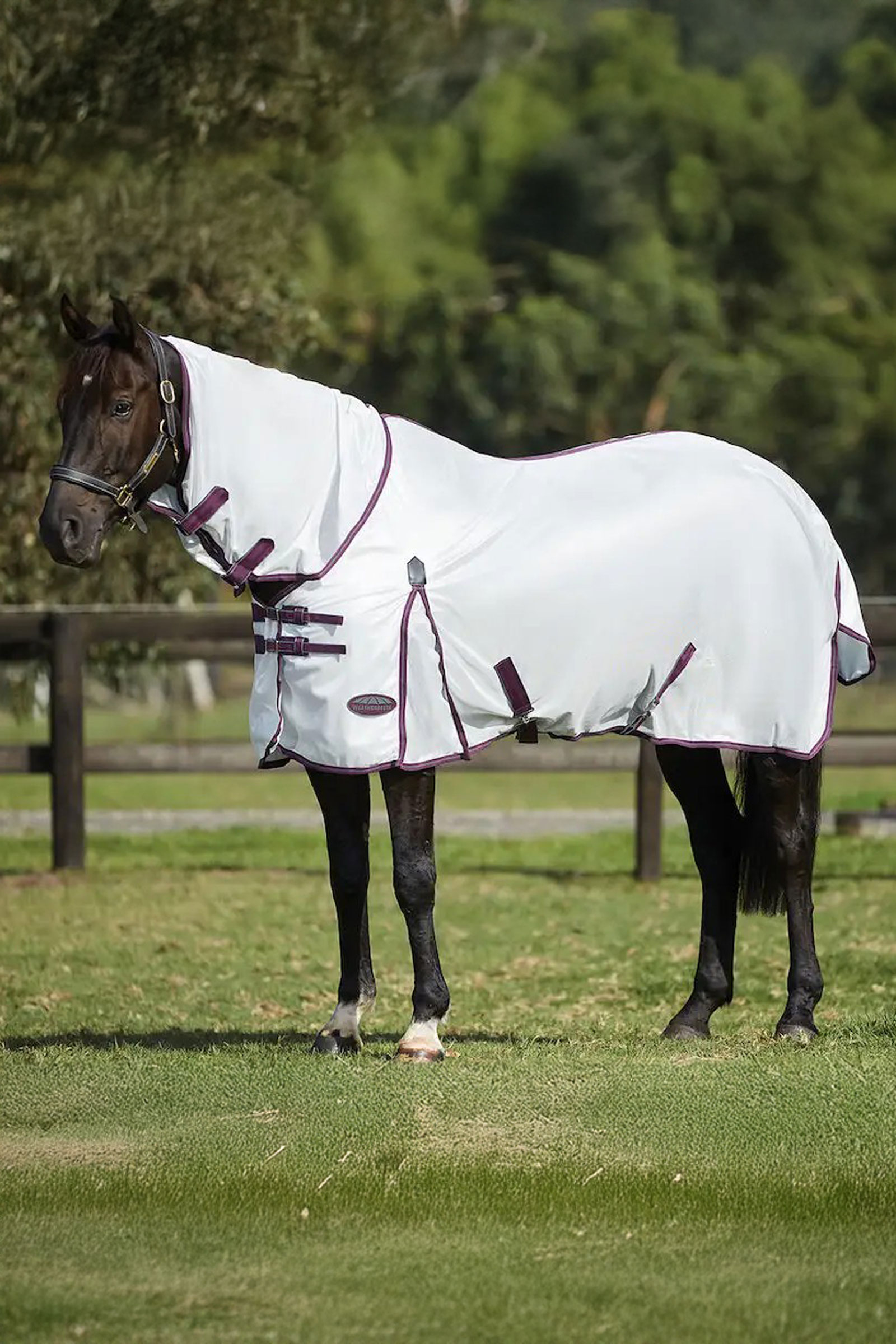 Weatherbeeta Comfitec Essential Mesh II Fly Rug with Fixed Neck