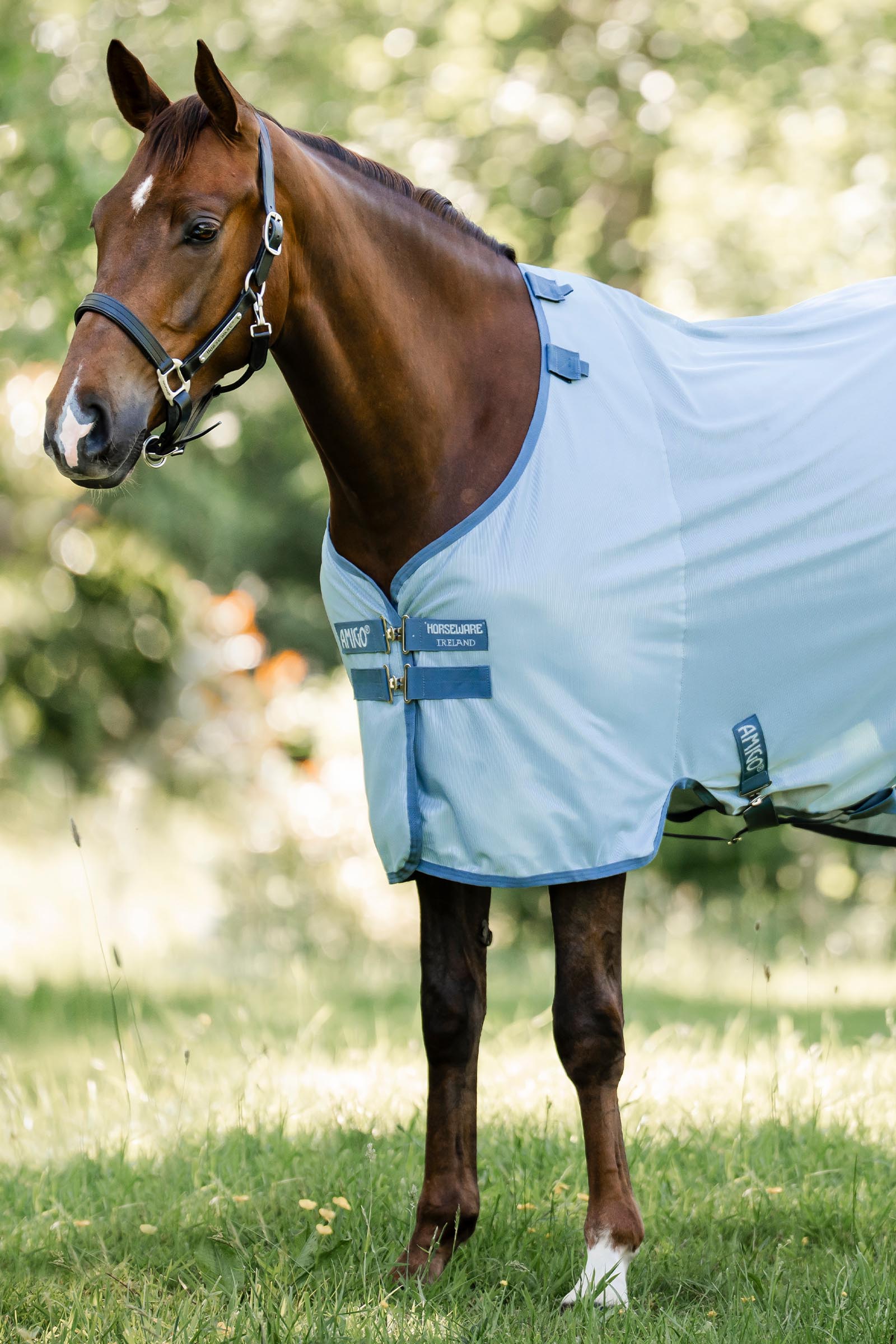 Horseware Amigo Bug Rug With UV-Protection