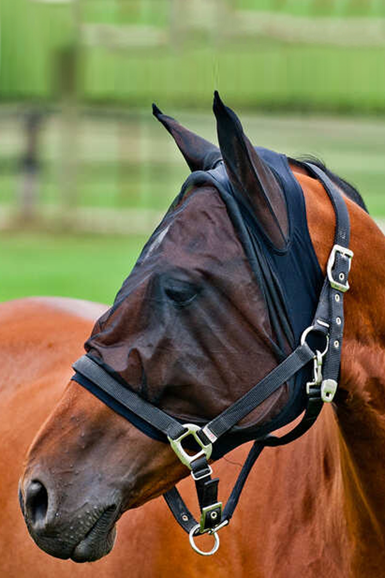 Horze Mesh Fly Mask