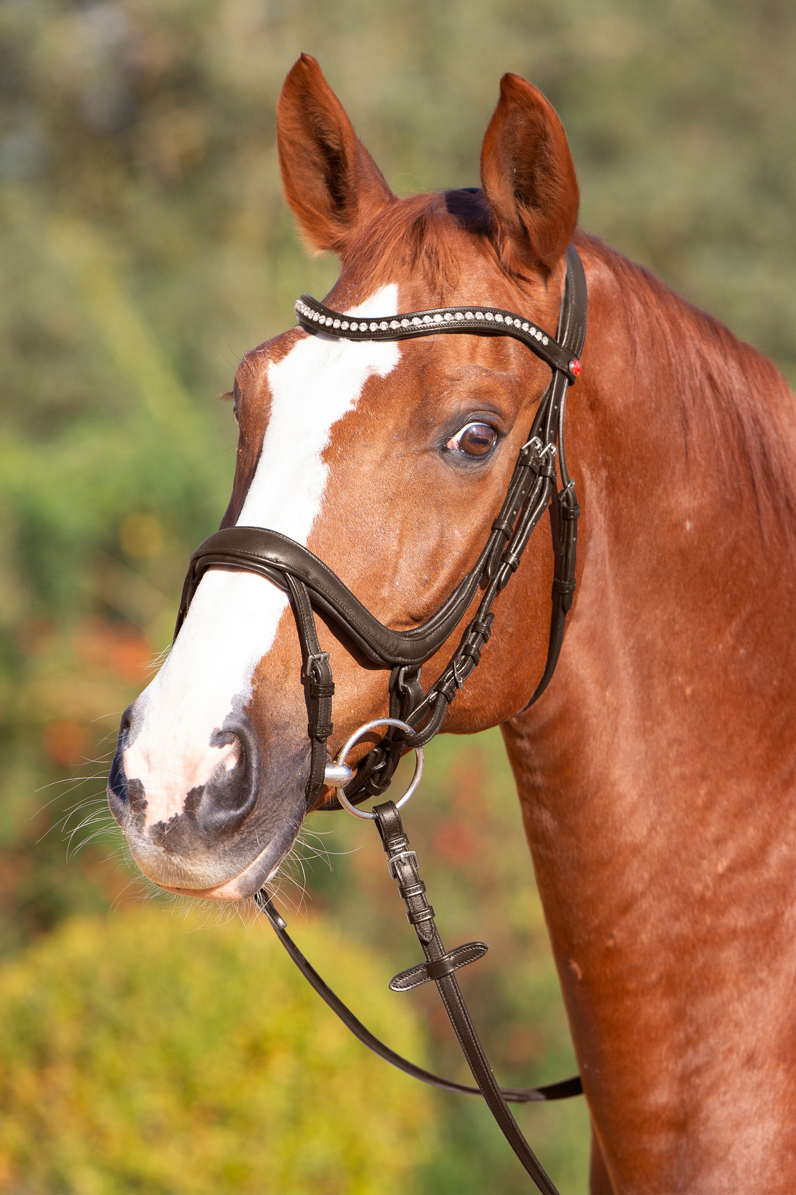 Kieffer Ultrasoft&reg; Amy Bridle