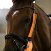 bZeen Reflective Bridle Covers with Neoprene