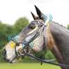 Collegiate ComFiTec Crystal Bridle