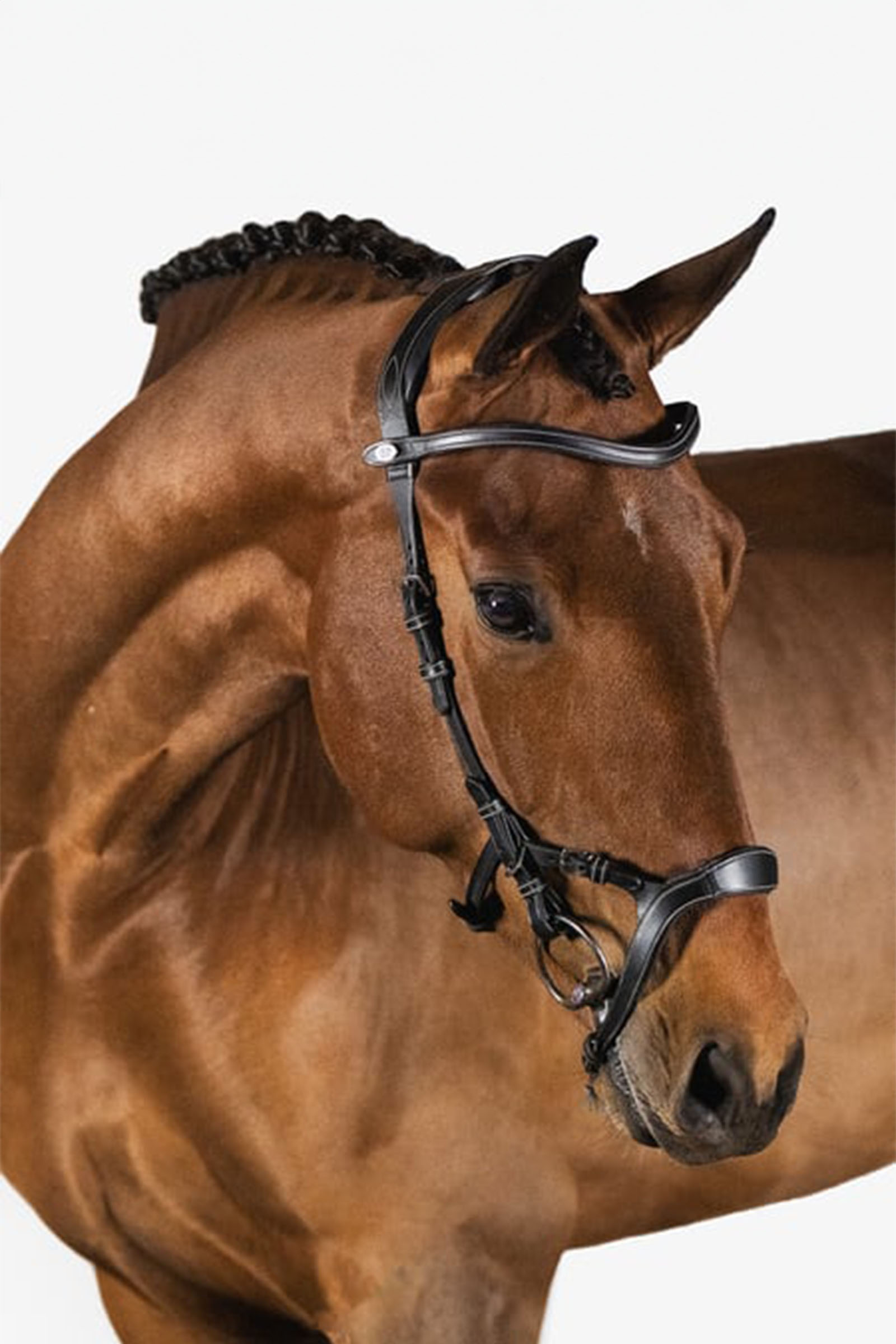 PS of Sweden bridle Nirak
