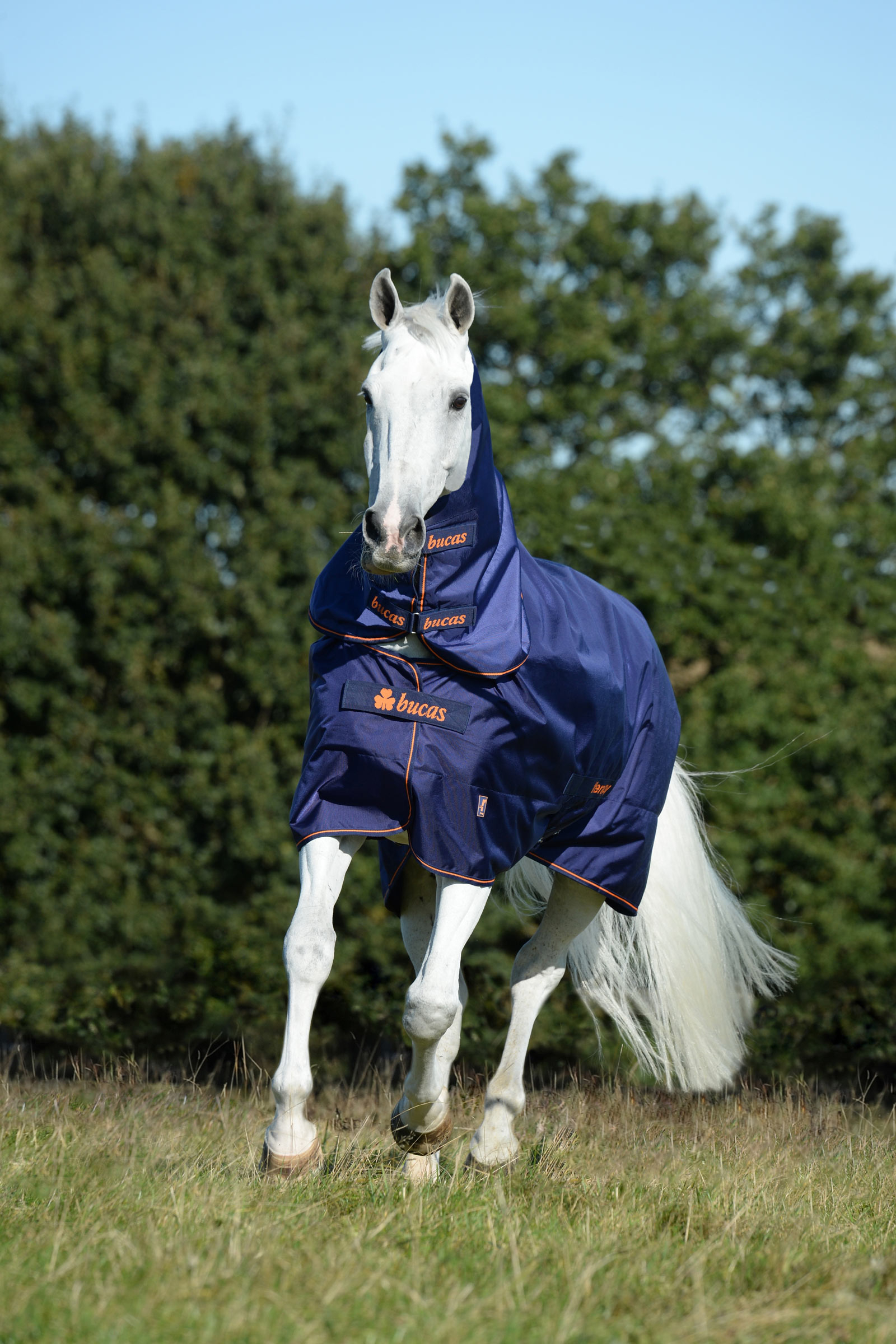 Bucas Therapy Turnout Neck