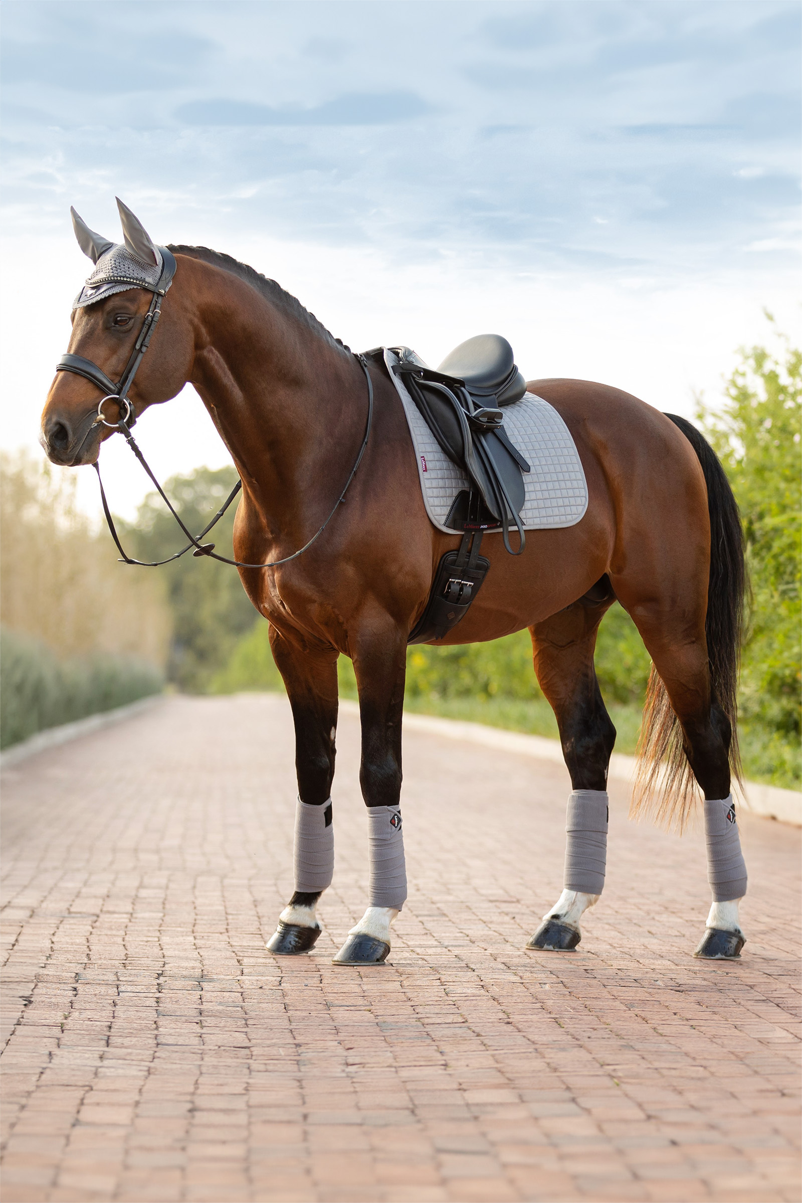LeMieux Suede Square Dressage Saddle Pad