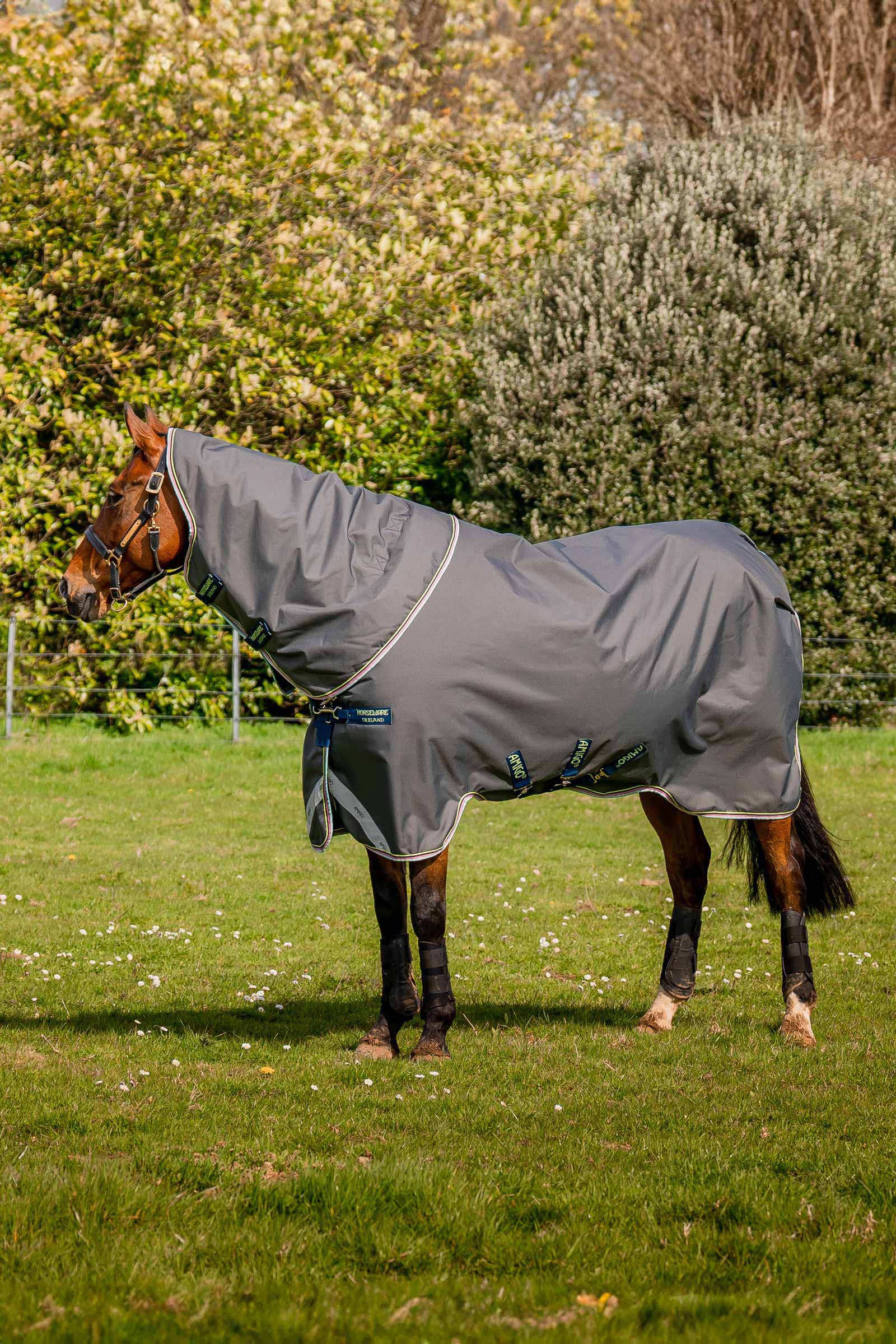 Shadow/Navy & Lime Horseware Amigo Bravo 12 Plus Turnout Rug, 250 g